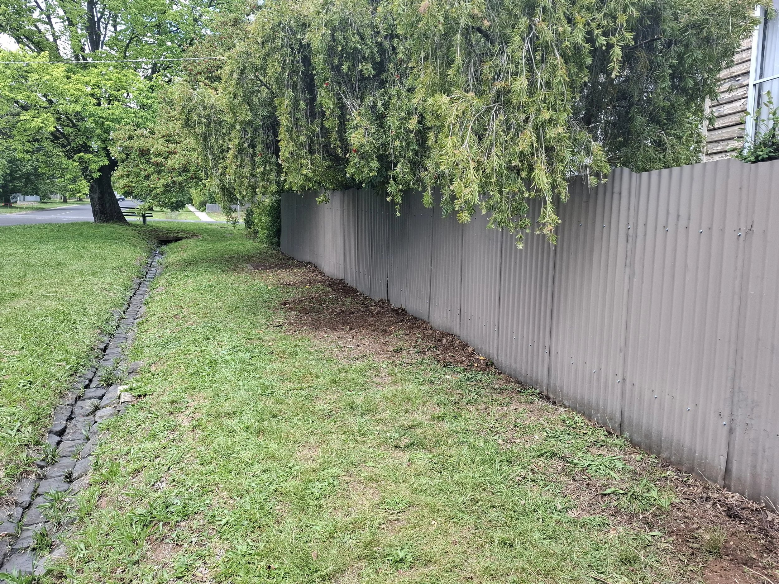 Grass and dirt area beside a metal fence, with trees overhead and sidewalk nearby.