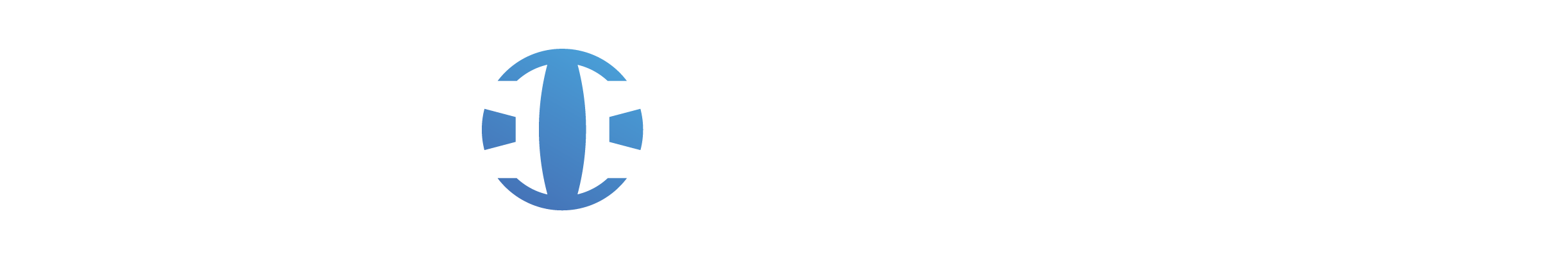 Naperville logo featuring a blue globe and the word 'Naperville' in cursive