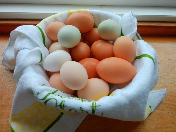 Farm Fresh Free Range Chicken Eggs (1 Dozen)