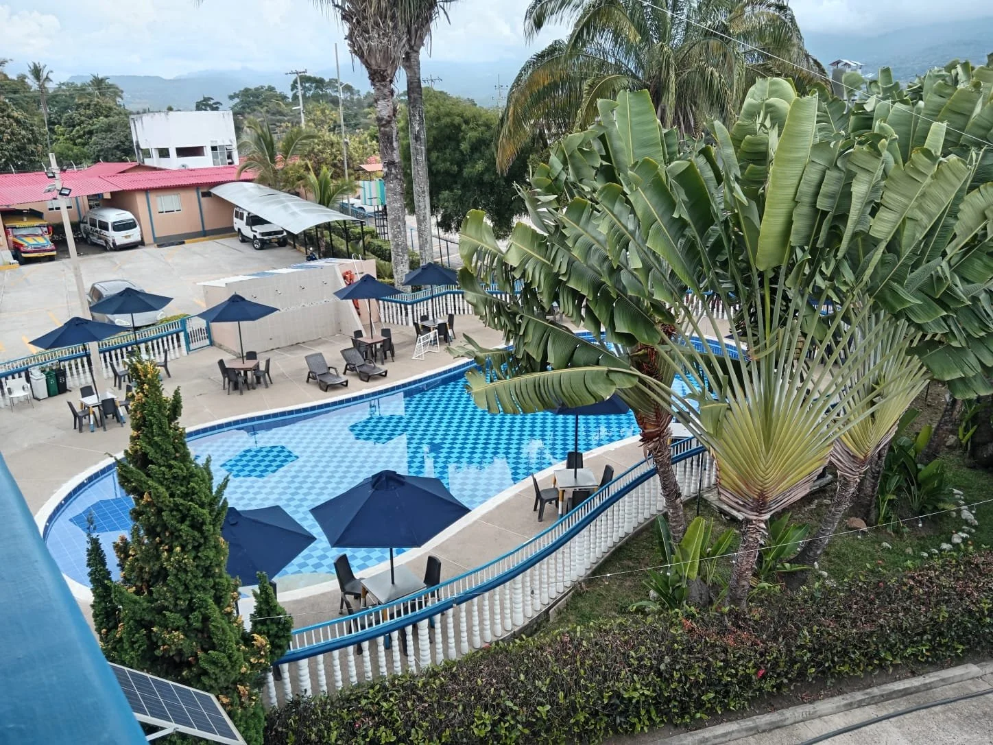 Vista de la piscina con sombrillas y mesas rodeada de palmeras en un ambiente tropical