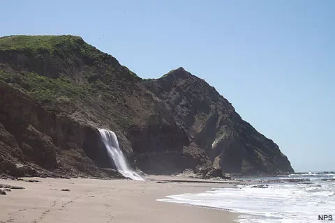 Nature’s Inspiration 