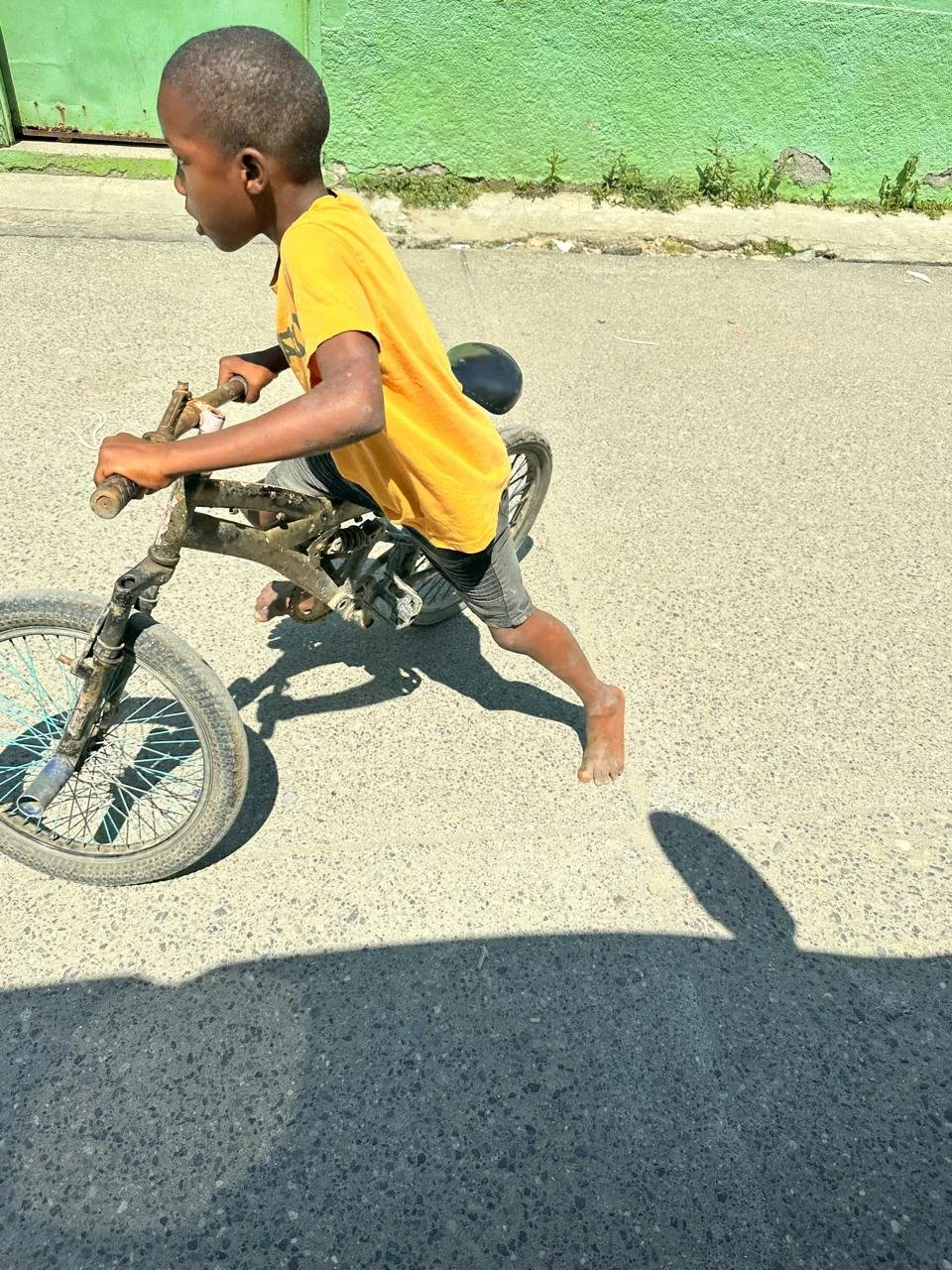 WhatsApp Image 2026-02-17 at 10.40.53 AM.jpeg