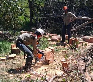 Operate and maintain chainsaws