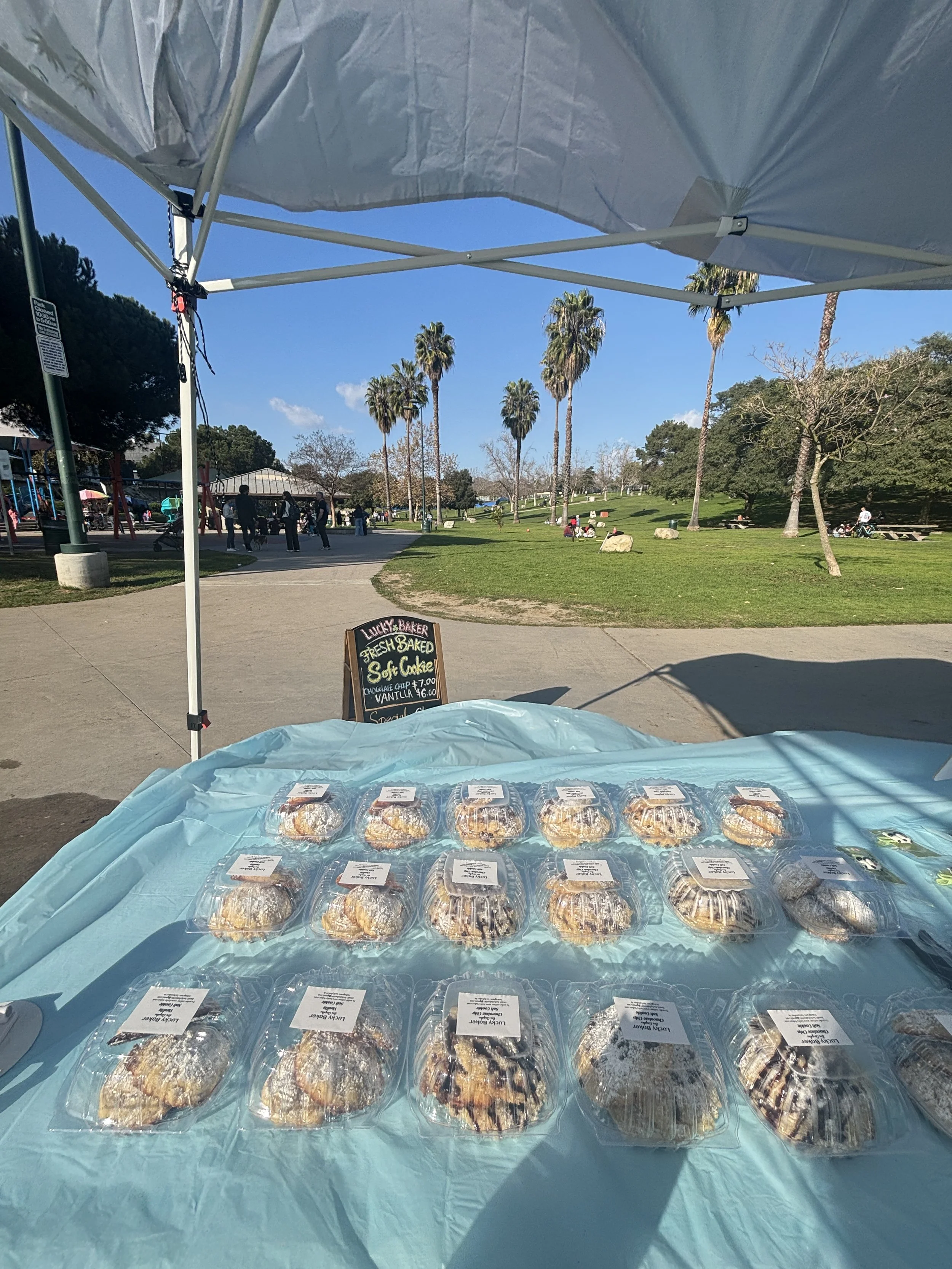 🍀 January 24, 2026