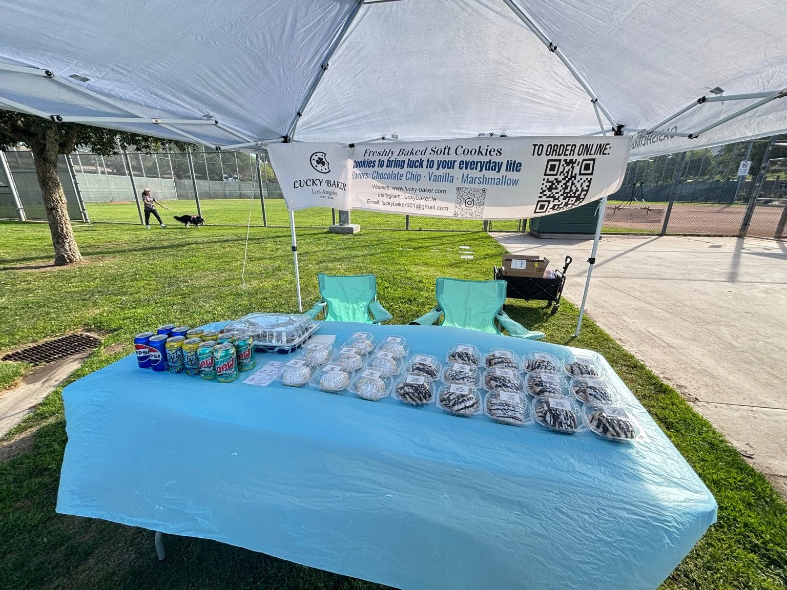 🍀 February 7, 2026