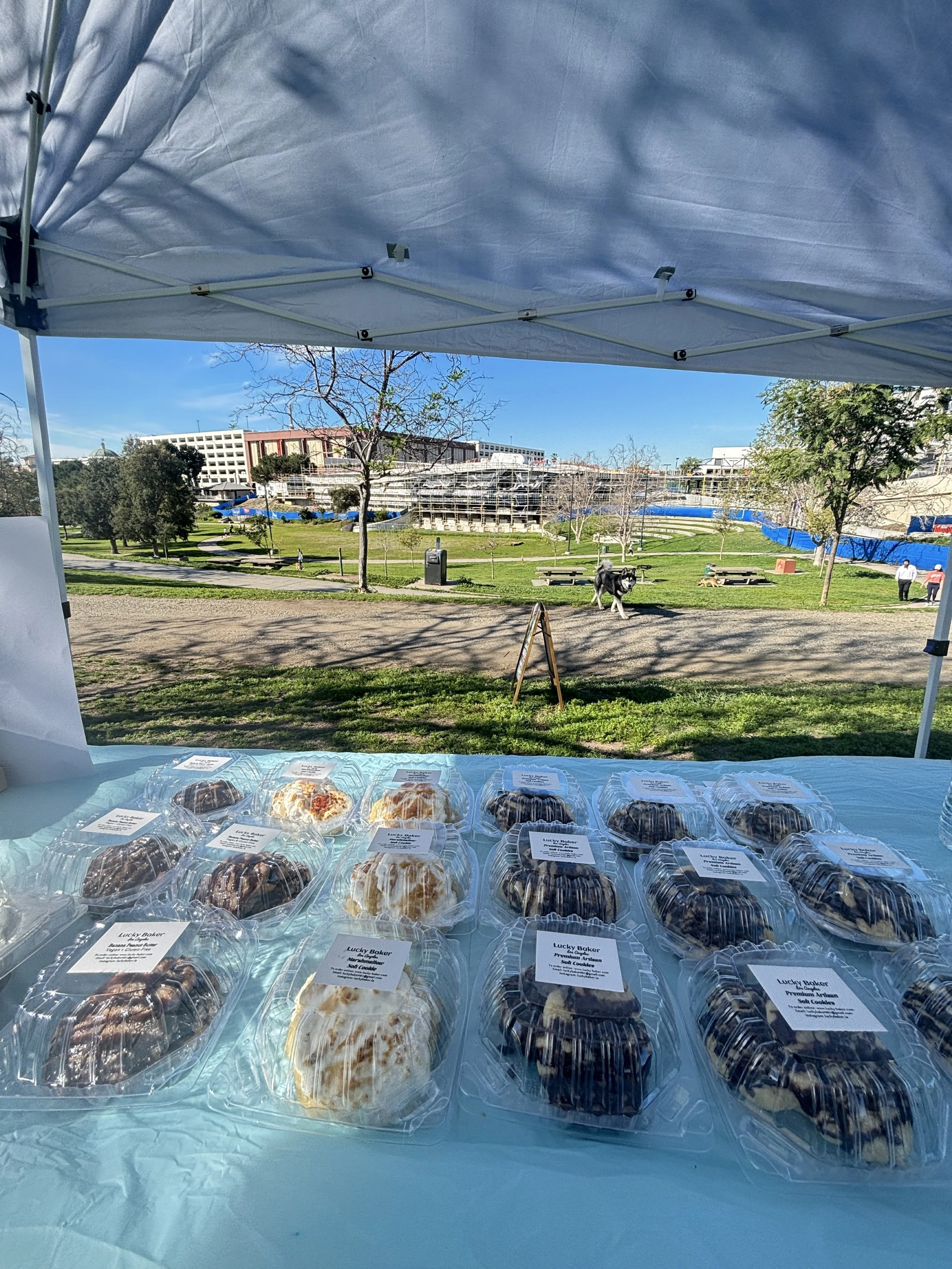 🍀 February 28 | Sunshine, Slow Traffic, Sweet Moments