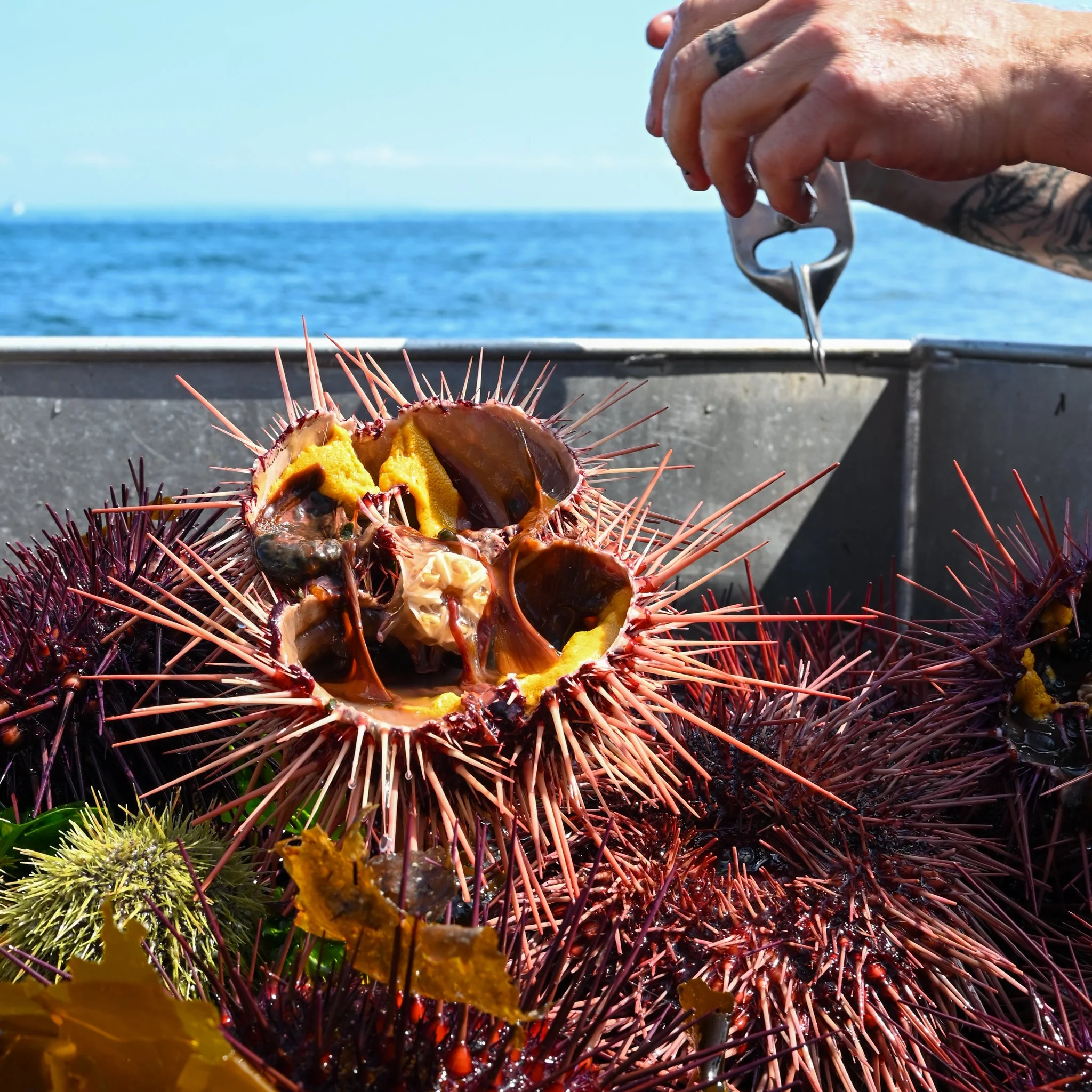 Small Steps Create Big Shifts 