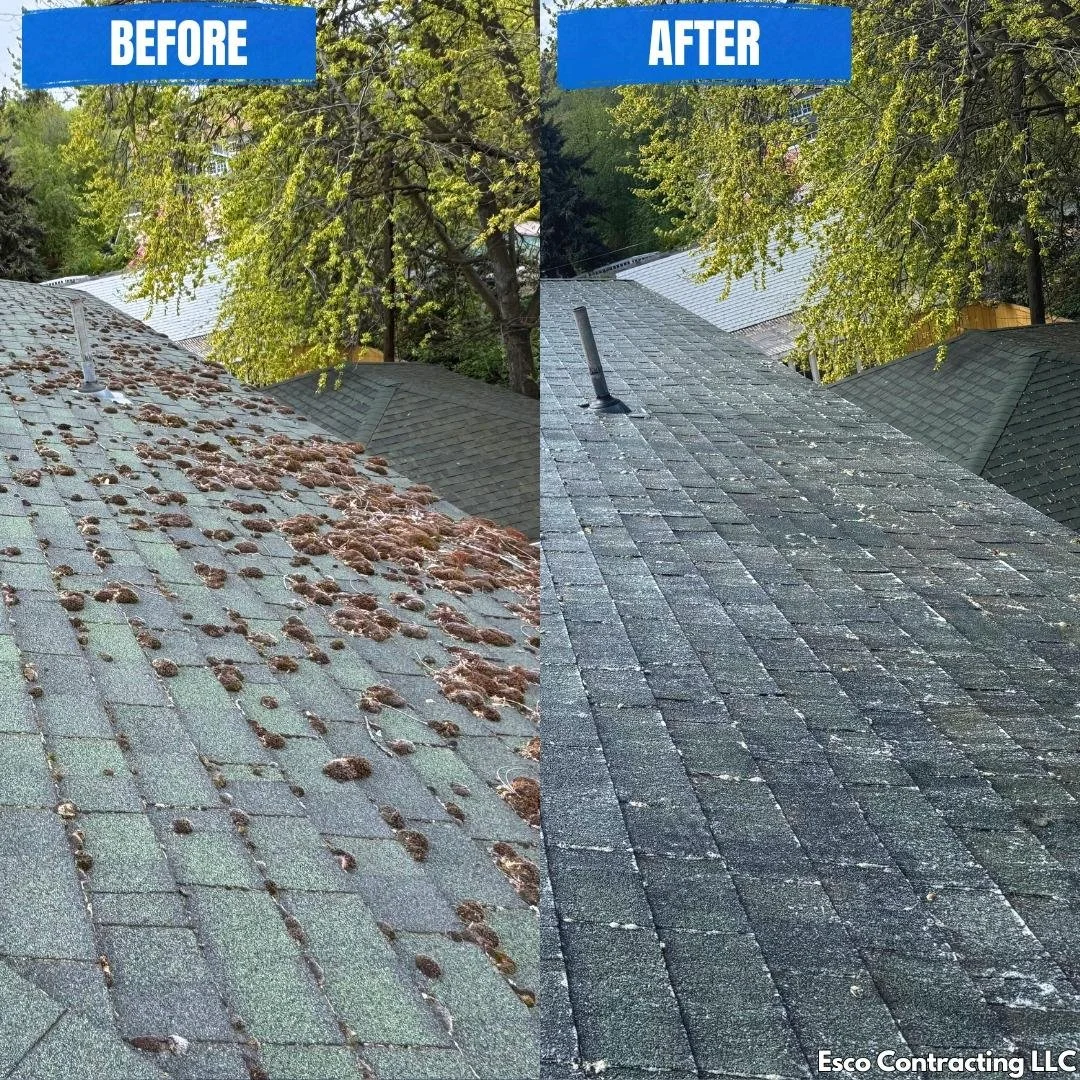 Roof before & after.jpeg