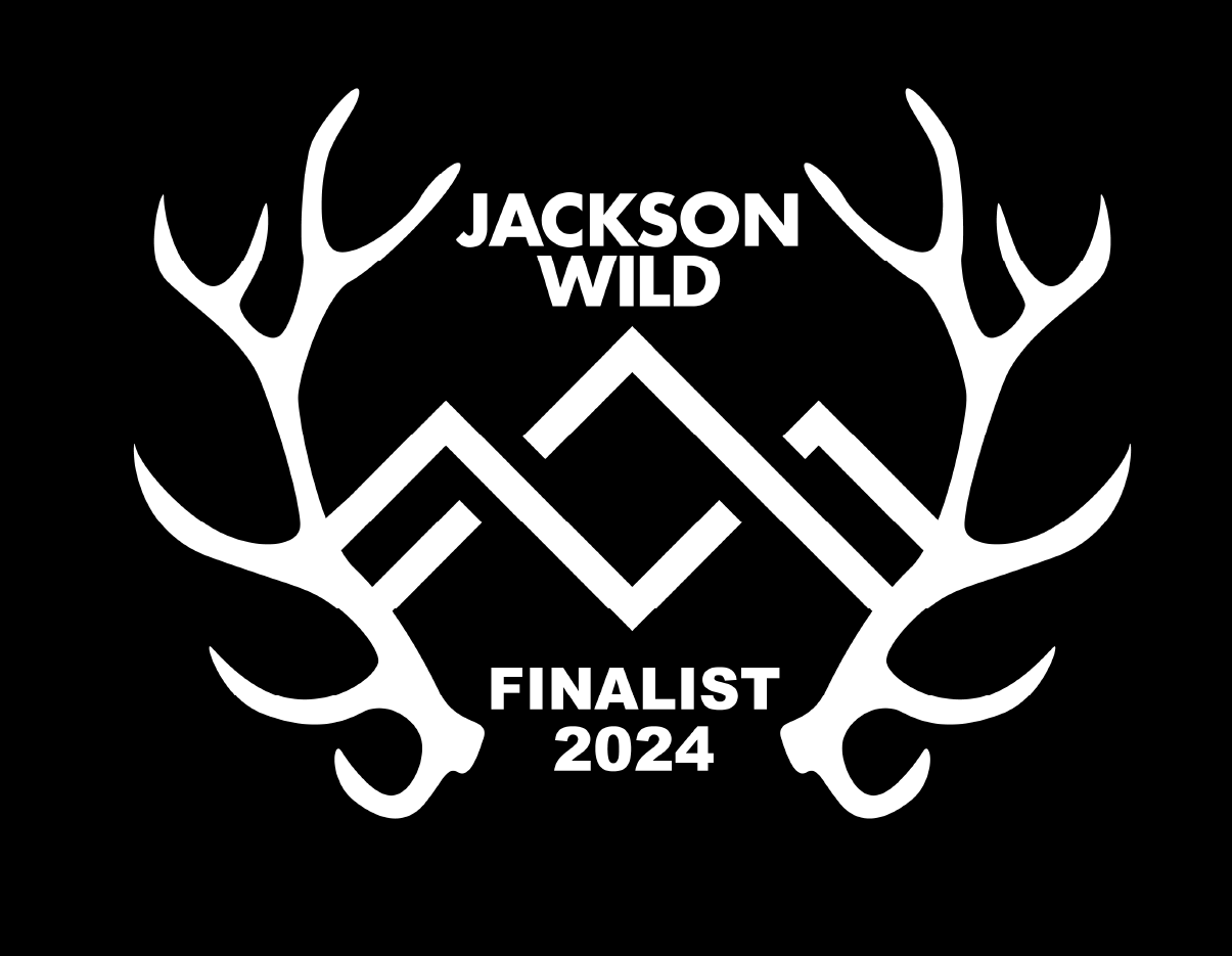 here-now-laurels_laurel-jackson-wild.png