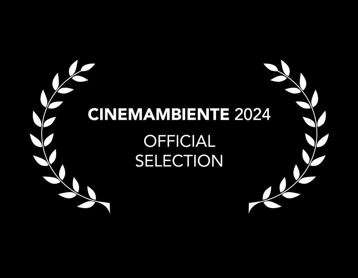 here-now-laurels_laurel-cinemambiente.png