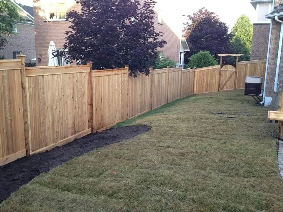 A backyard with a newly installed wooden privacy fence, a grassy lawn, and some trees and shrubs in the background.