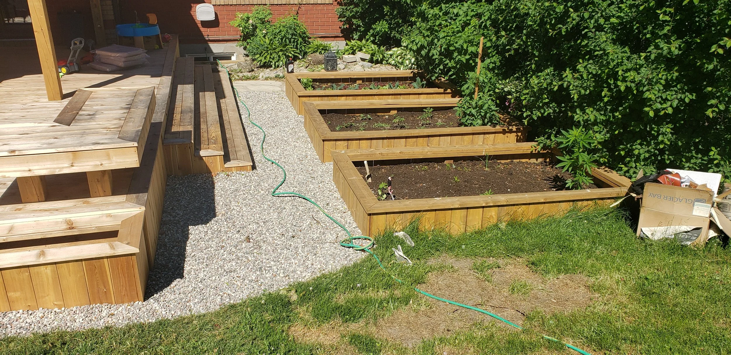 Backyard garden with freshly built wooden raised garden beds filled with soil and young plants, gravel pathway, green grass, and some gardening tools and supplies.