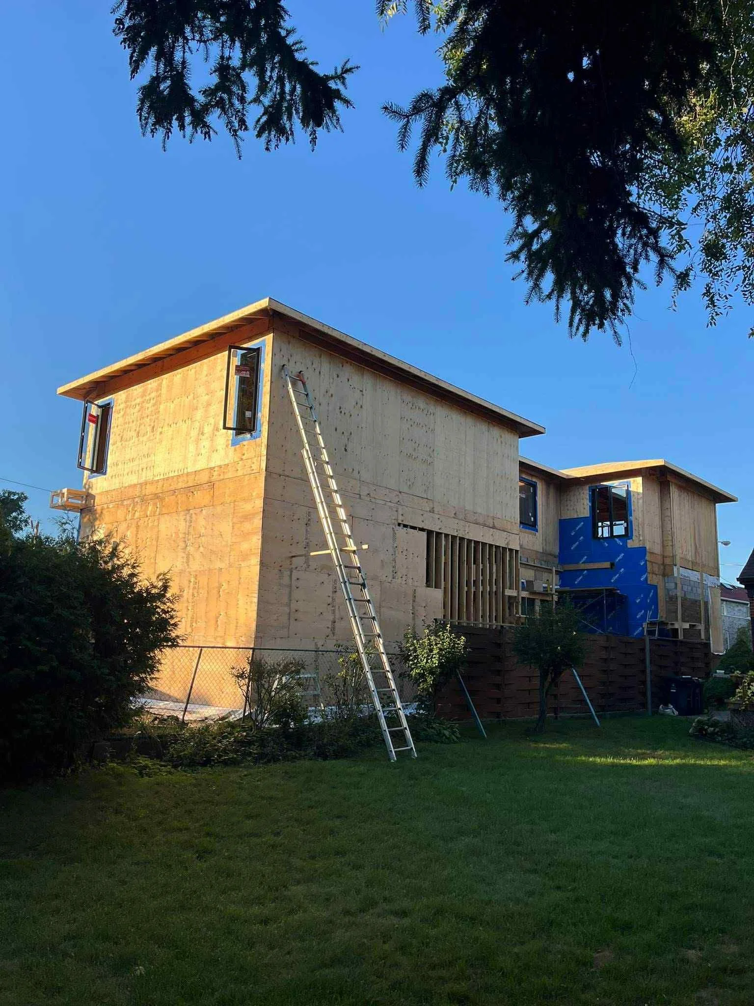 A two-story house under construction with exposed wooden framing, open window frames, and a blue weather-resistant barrier. There is a ladder leaning against the house, and the yard has green grass and small trees. The sky is clear and blue.