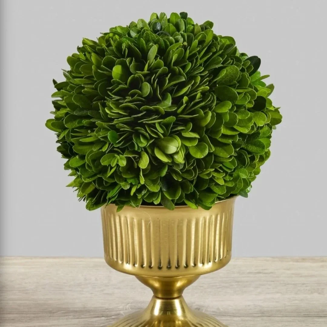 A green leafy plant in a gold decorative planter on a light wooden surface.