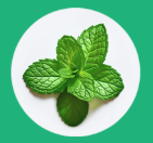 Screenshot 2026-03-01 at 9.01.46 PM.png