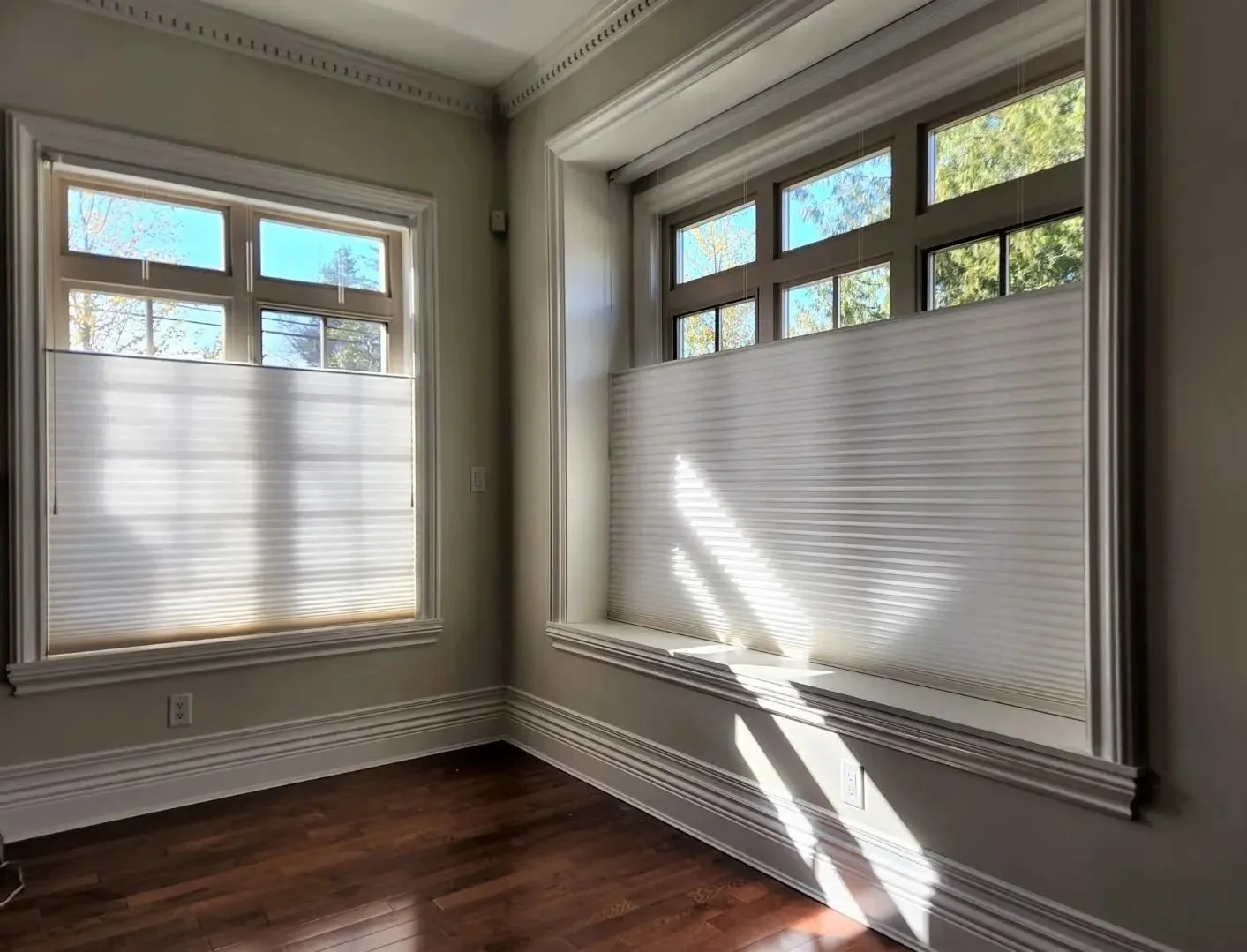 solar motorized shades