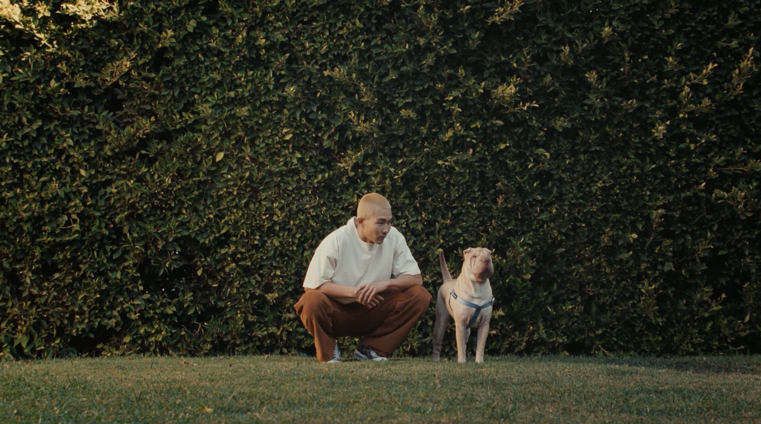 Native Pet [DC] -- Dir: Louis Browne // Co: Stadium
