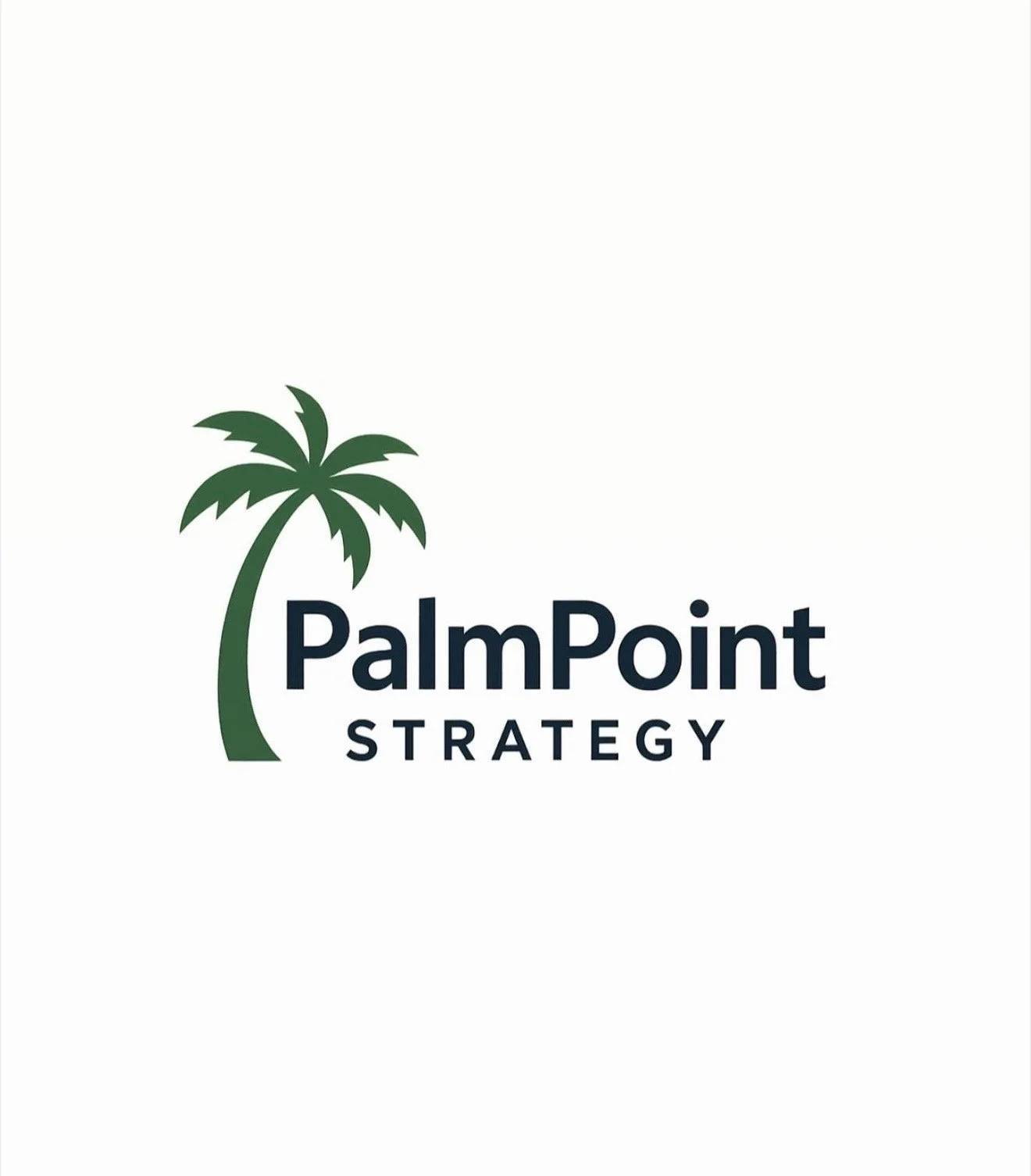 PalmPoint Strategy Consulting Services