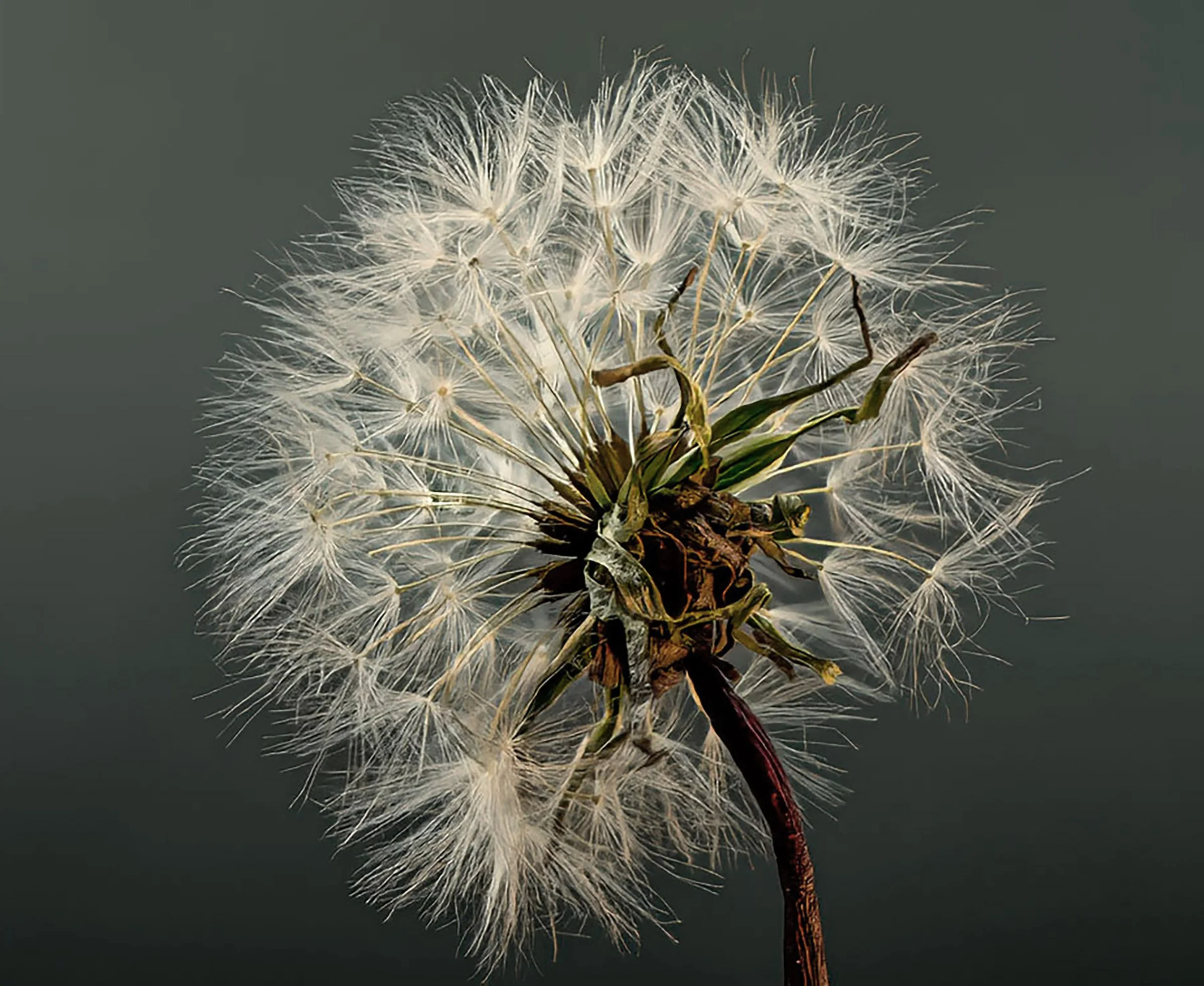 2026-01-21 20-44-53 -C-S4- copy 2.jpg