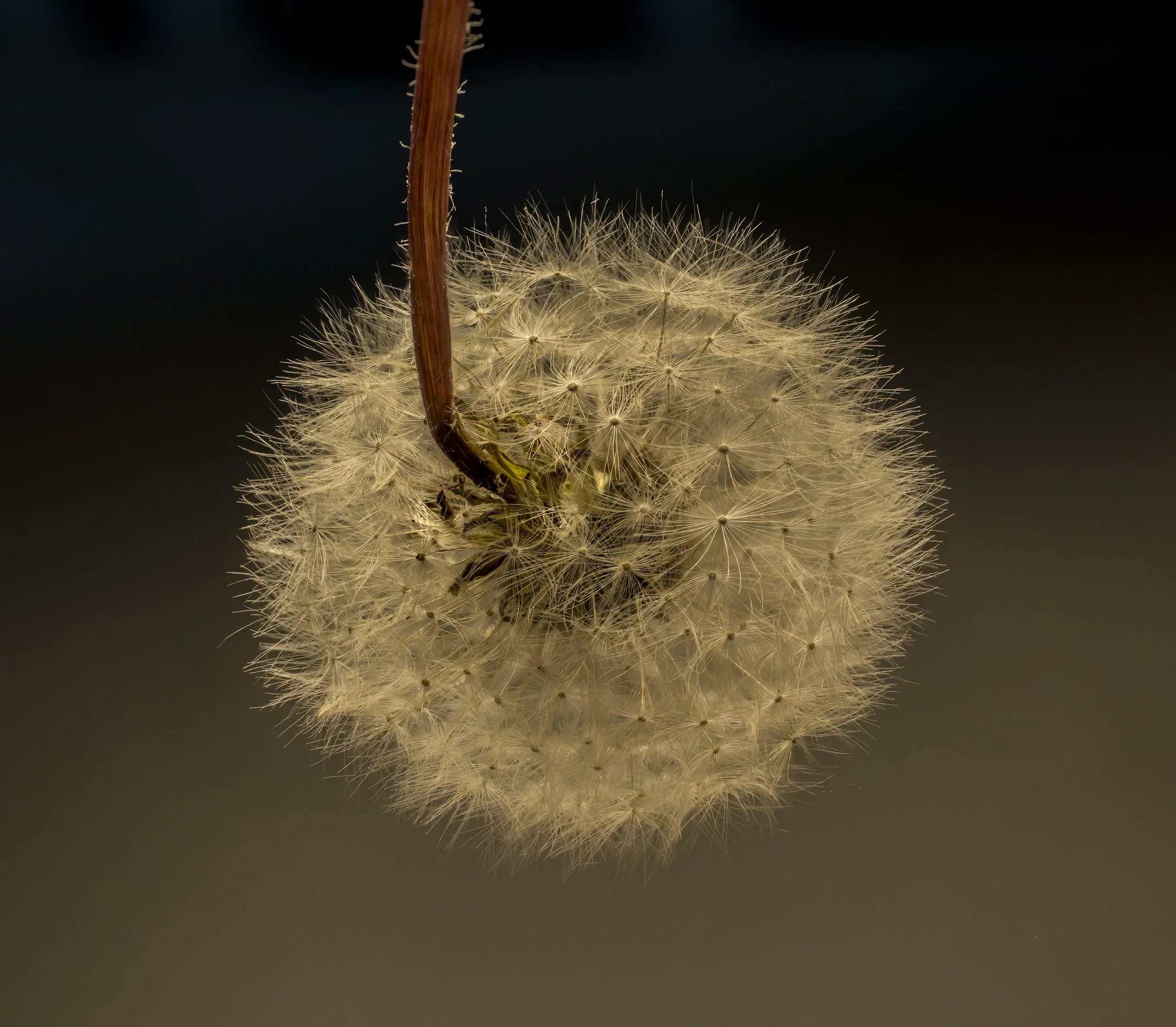 45262c025-07-16 13-09-34 (B,R8,S4) copy.jpg