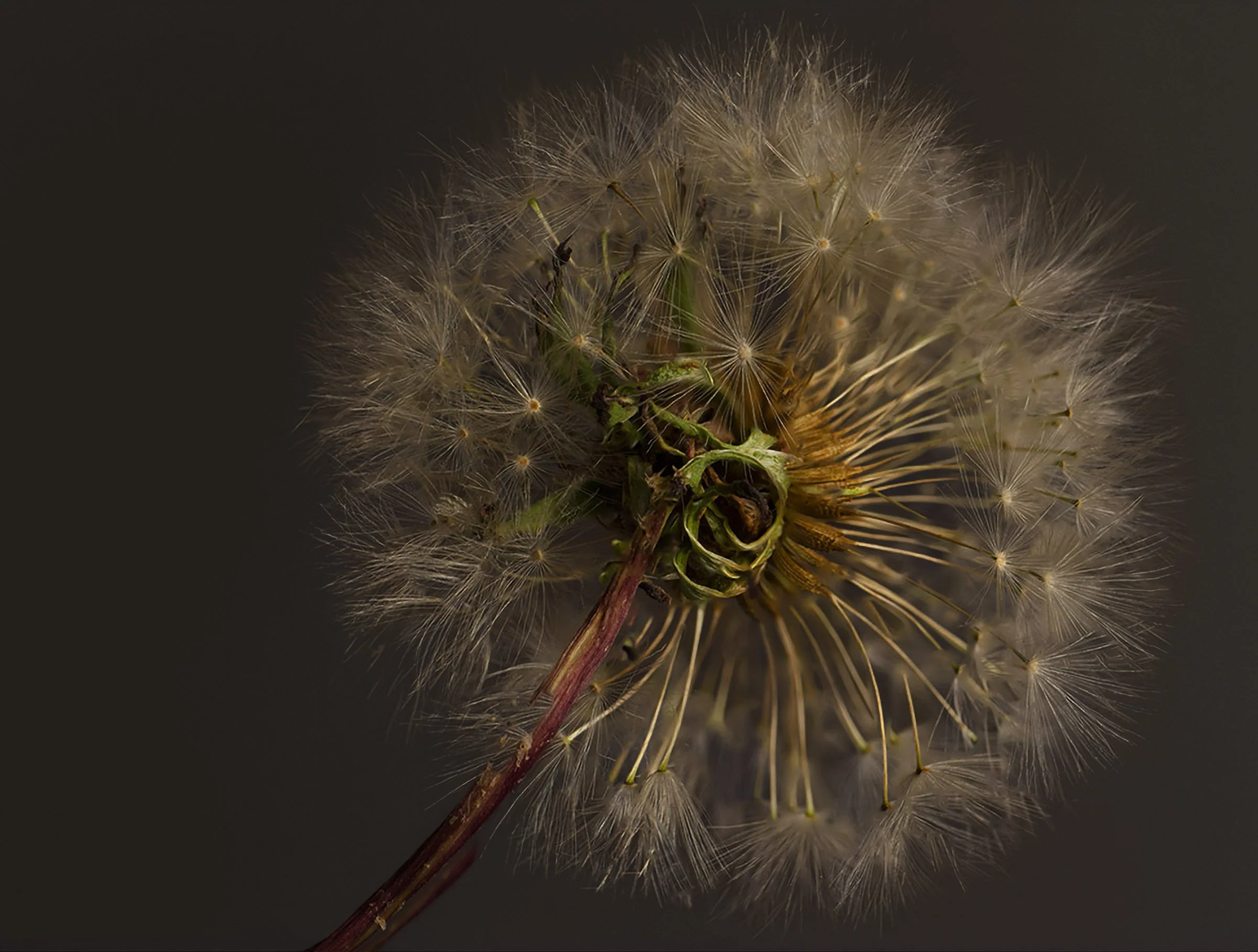 das2025-07-03 13-33-19 -B-R8-S4- copy.jpg