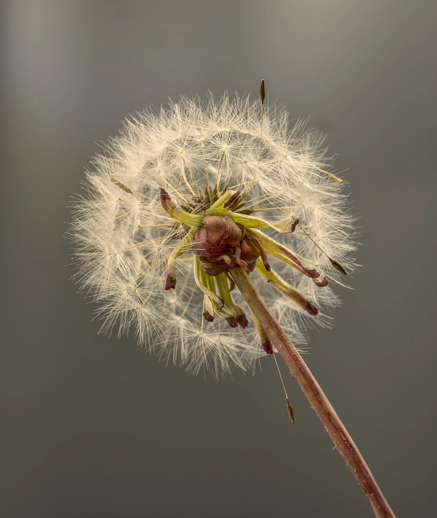 2026-01-18 21-46-04 -C-S8- copy.jpg