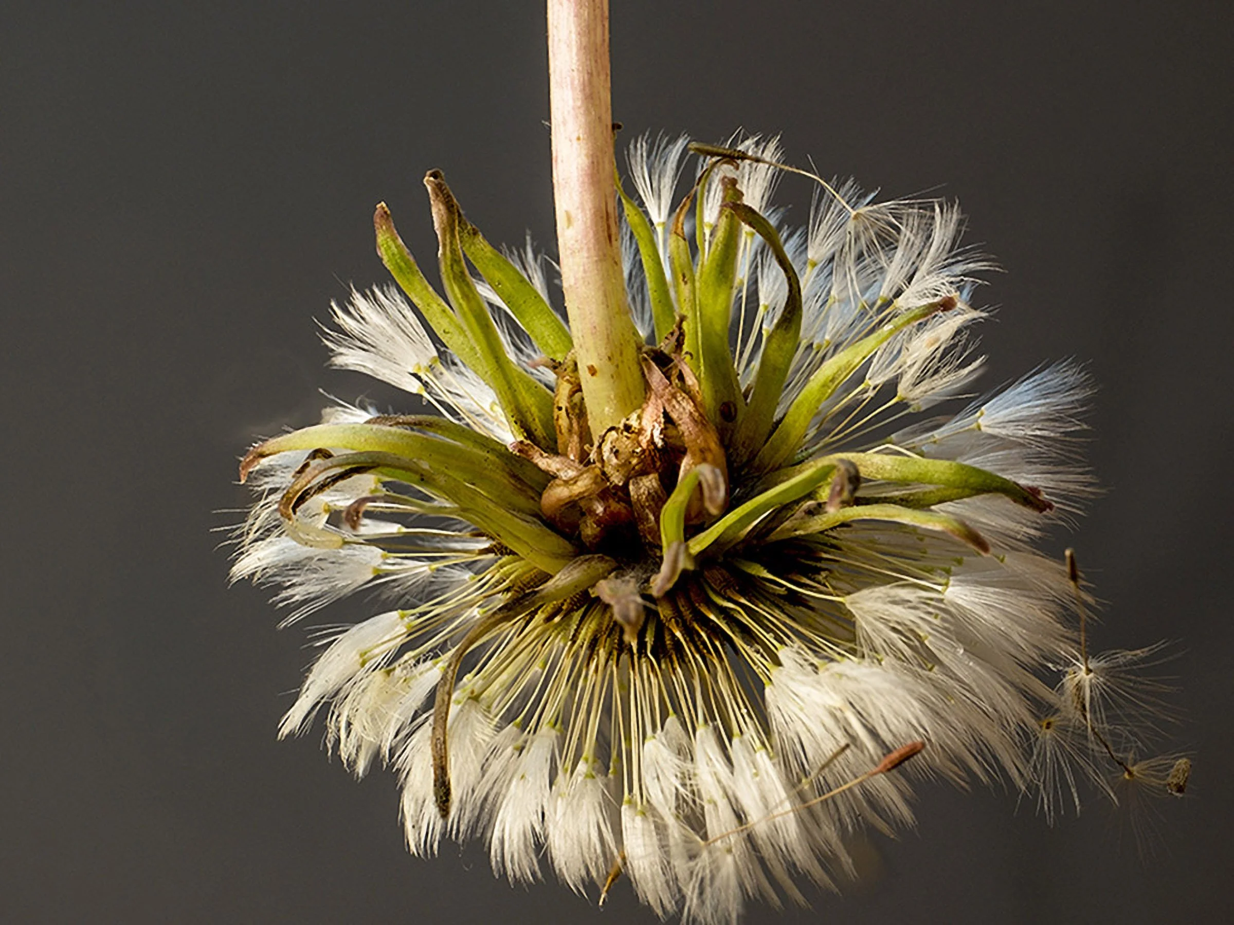 da2025-07-20 14-59-57 -B-R8-S4- copy 2.jpg