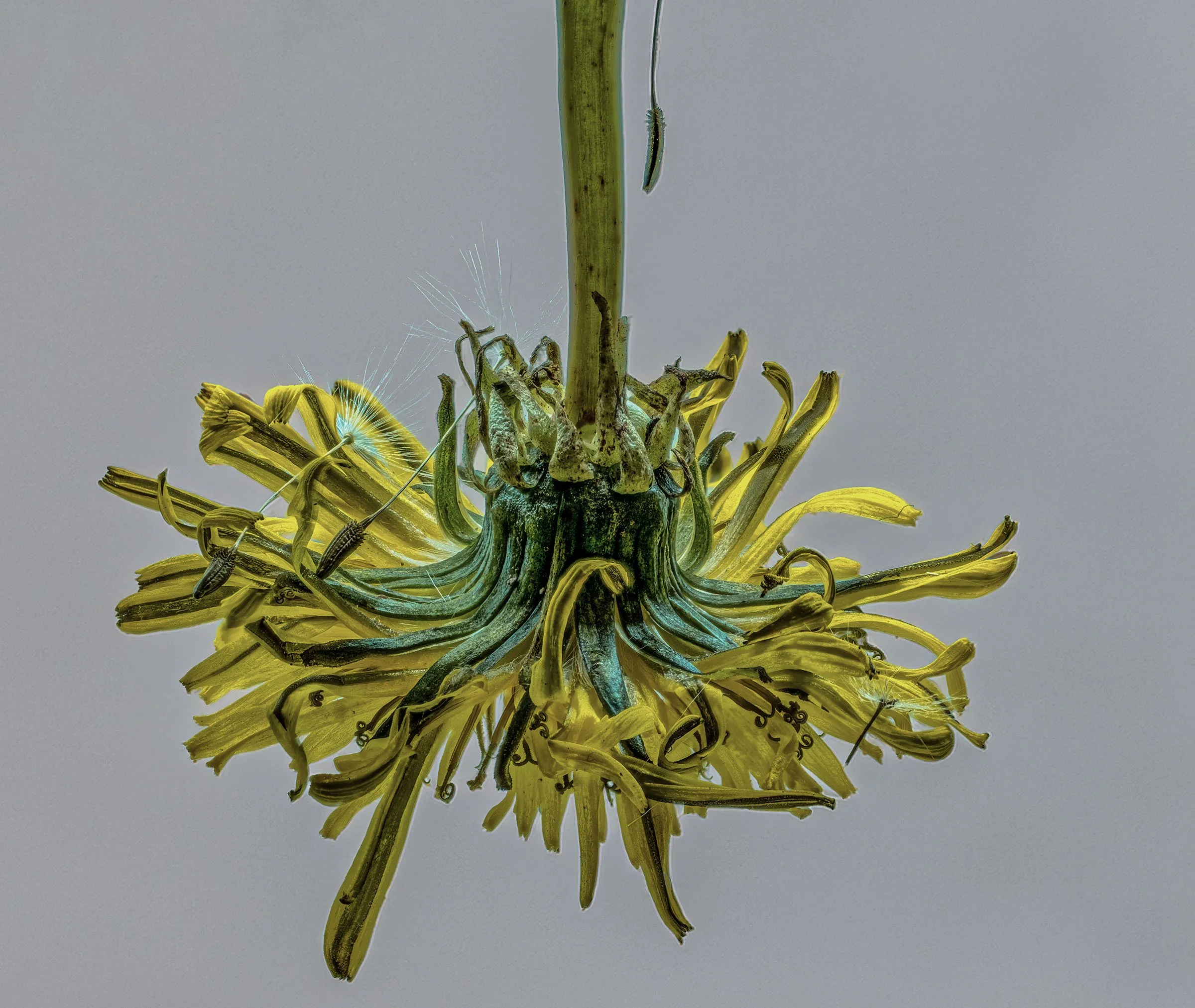 2025-11-26 16-58-03 (C,S4) copy 2.jpg