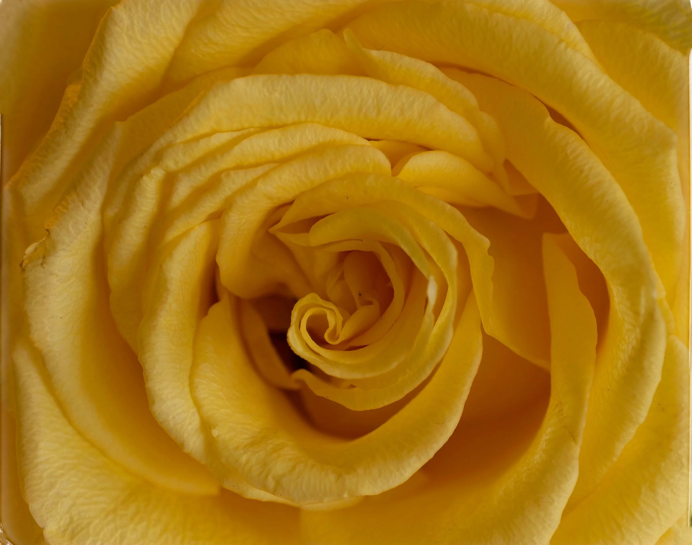 521Untitled-1 copy.jpg