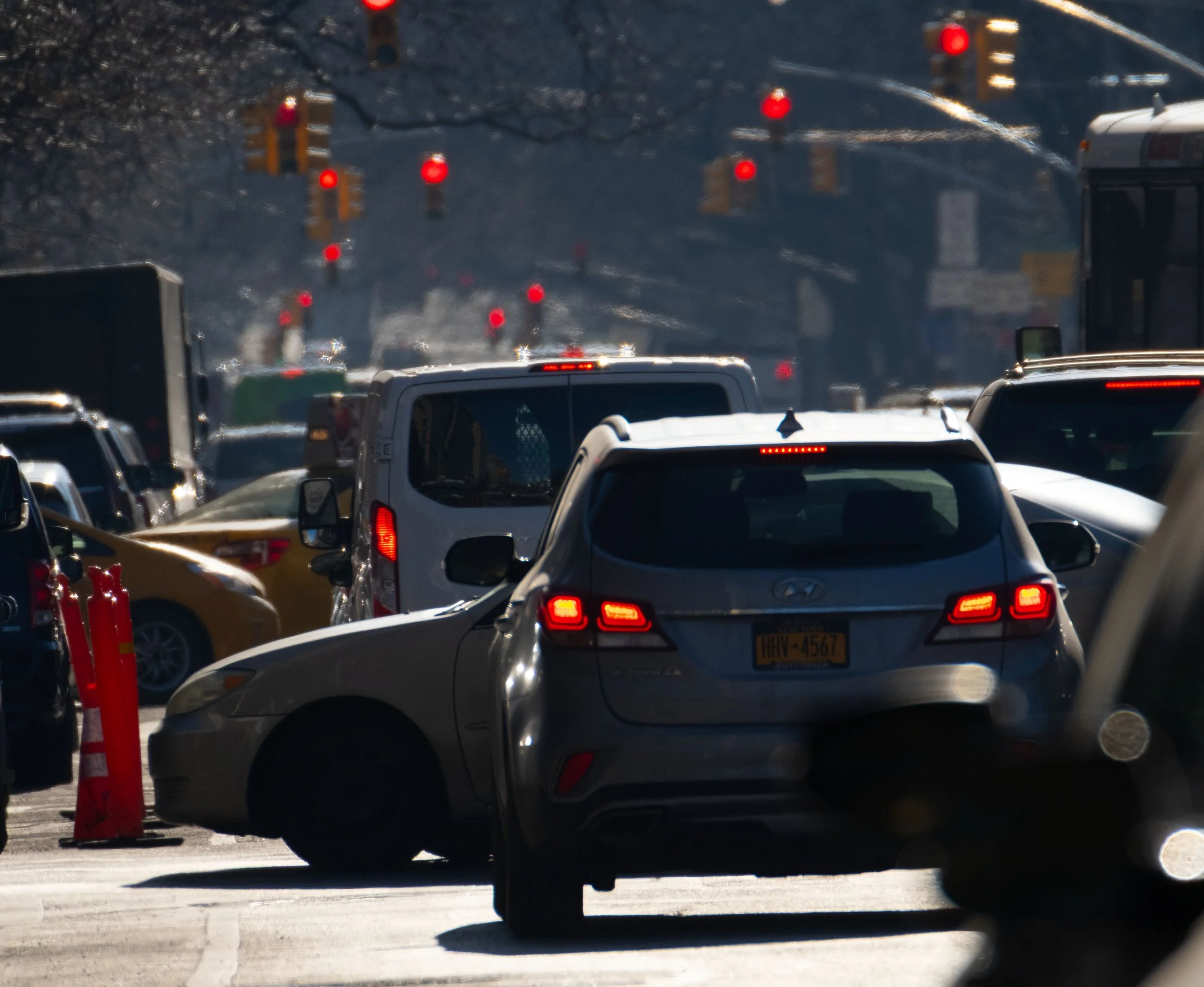 red_DSF0405 copy.jpg