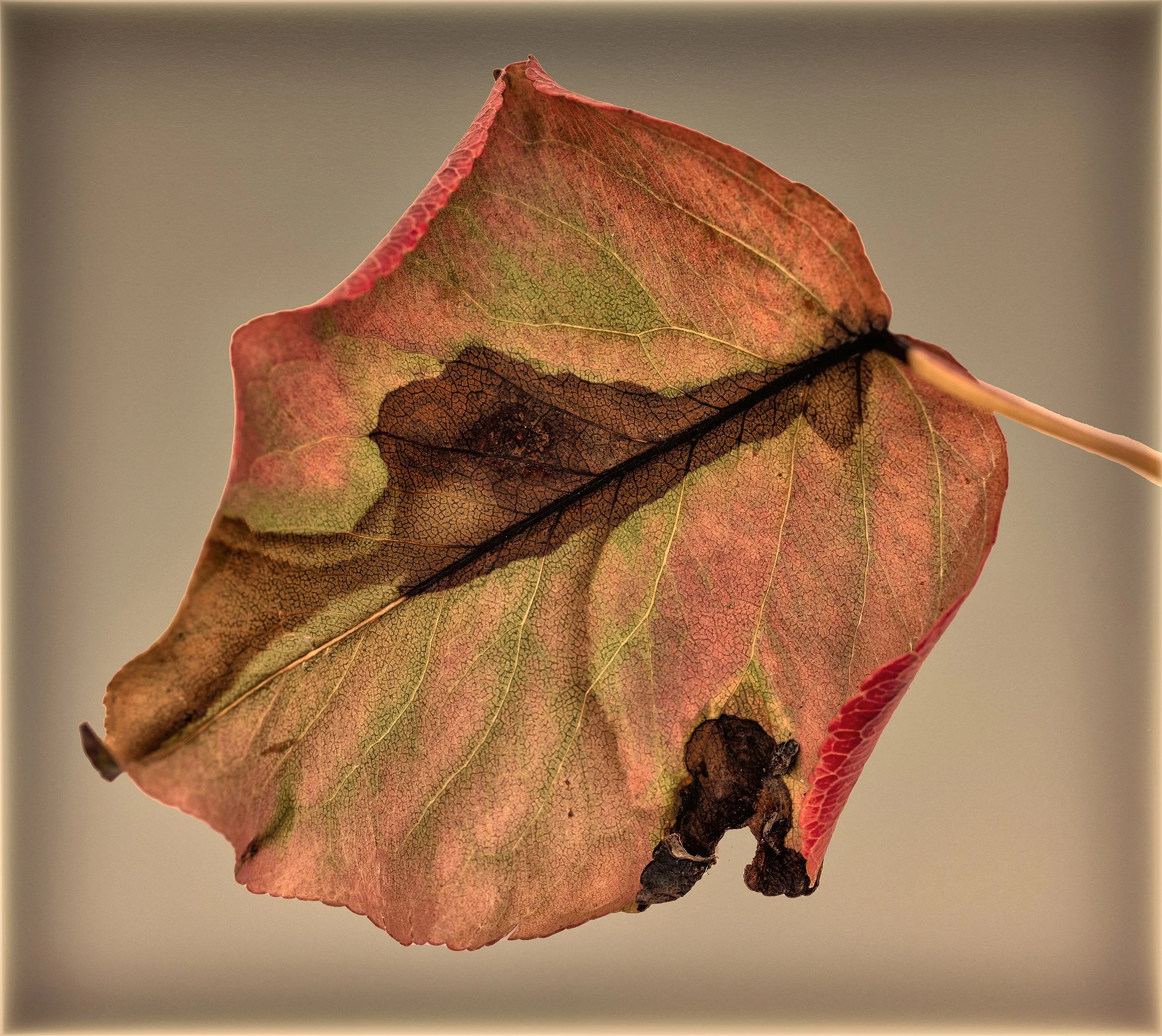 12820241010-DSCF7536-RAF copy 3.jpg