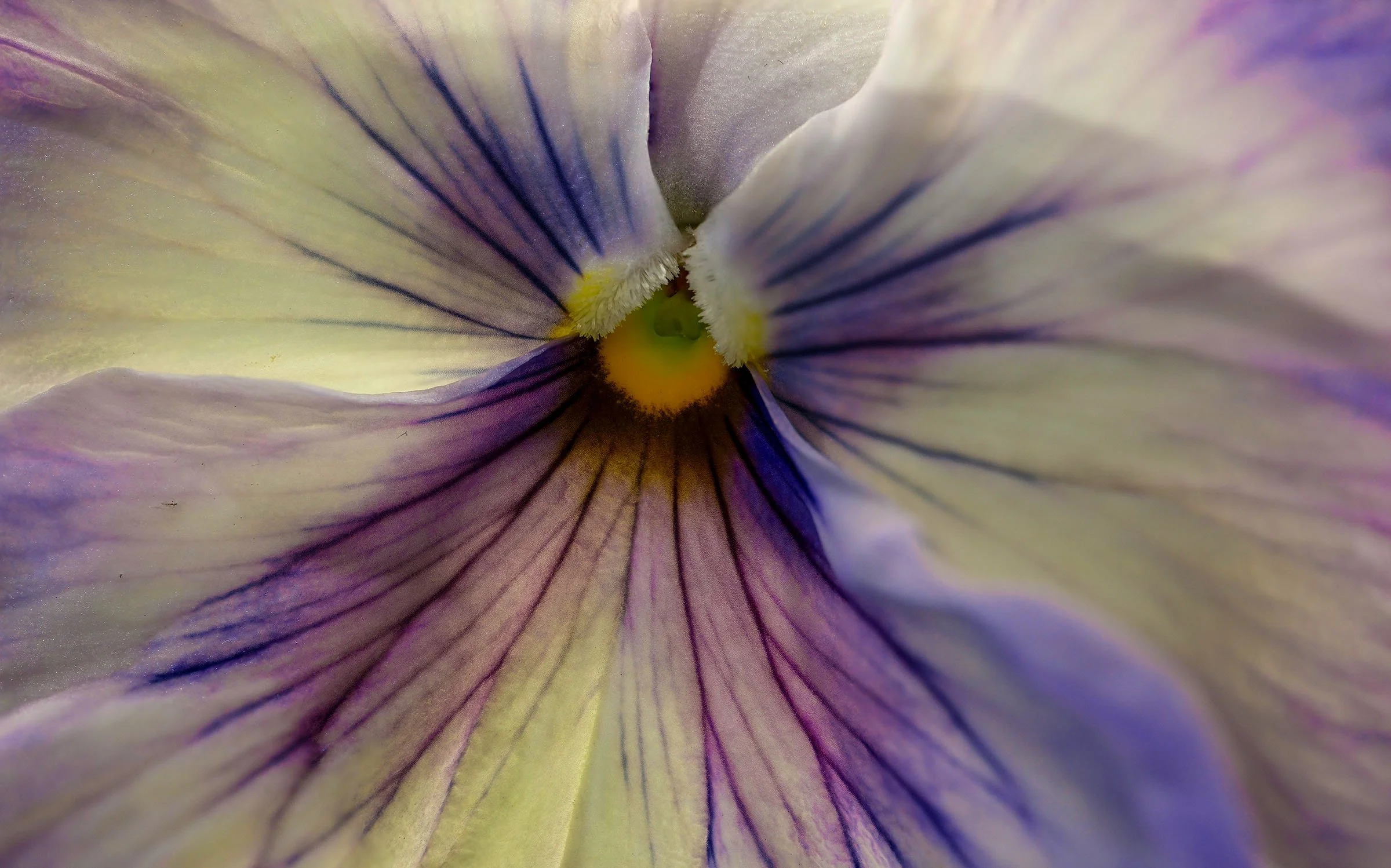 29multiUntitled-2 copy.jpg