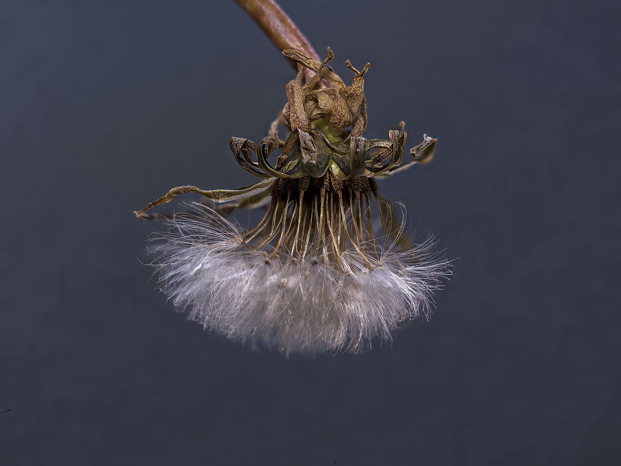 2025-12-26 13-06-57 (B,R8,S6) copy.jpg