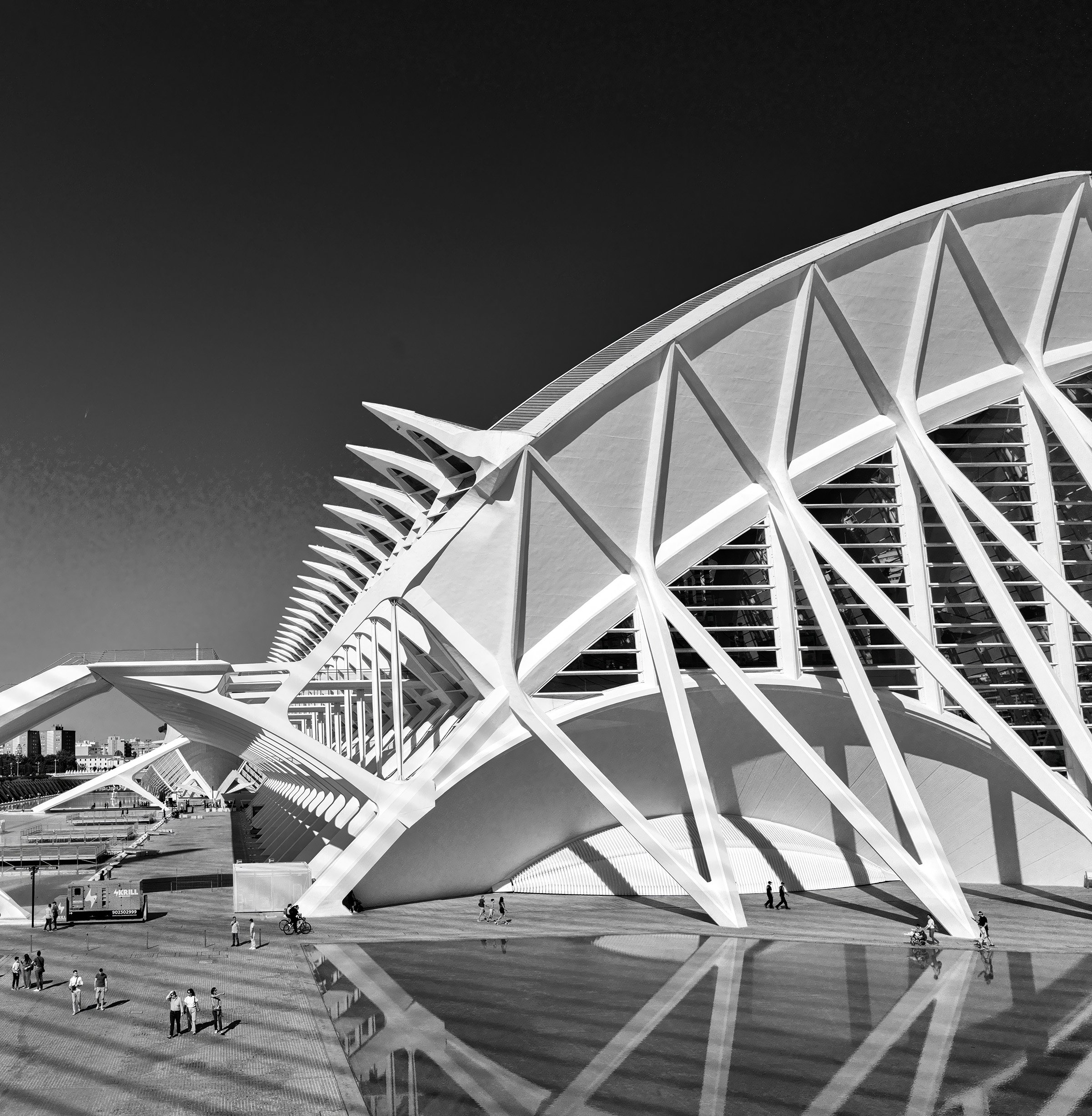 2ndJob_0445 copy.jpg