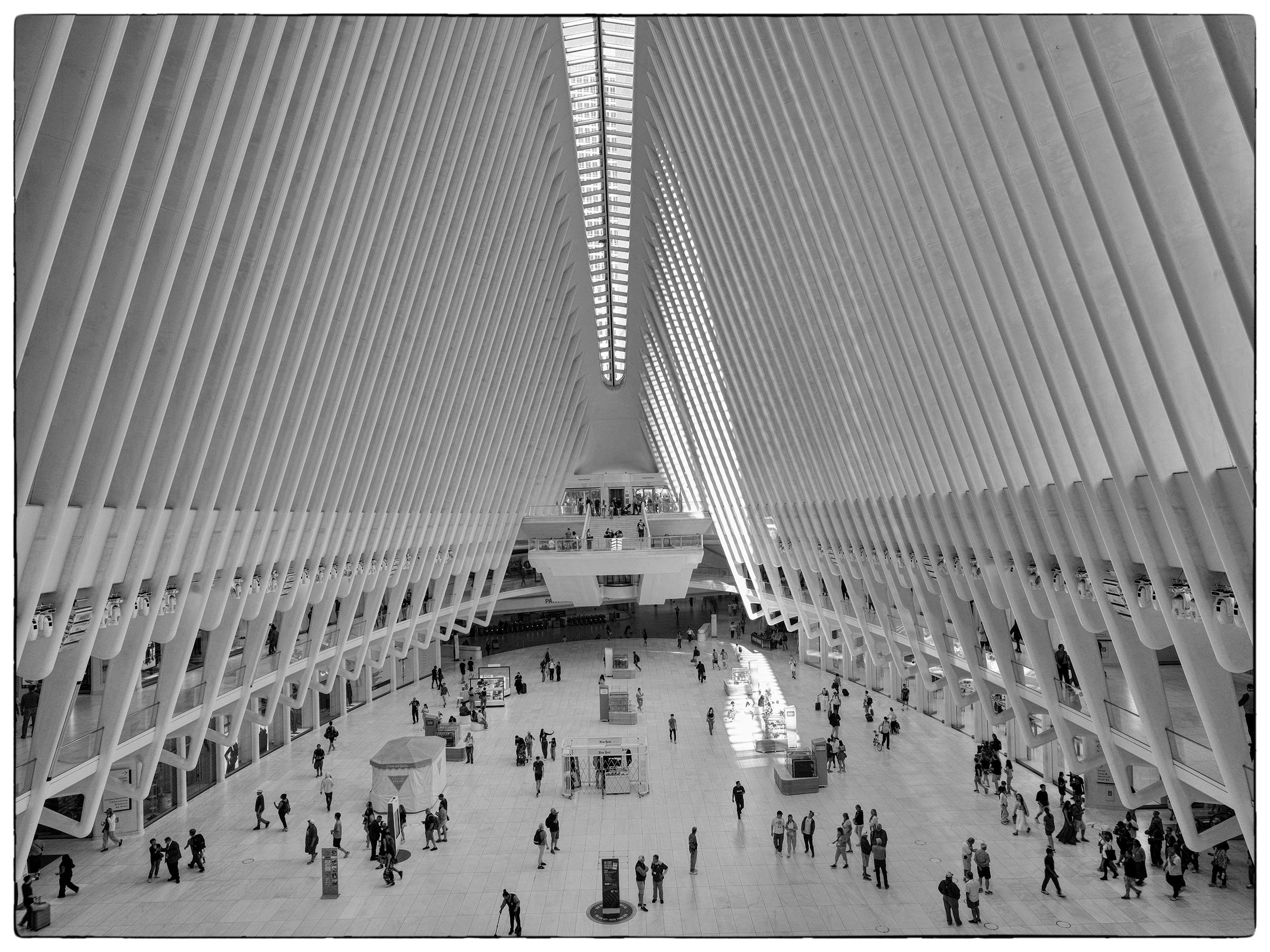 occulus test_0617 copy 2.jpg