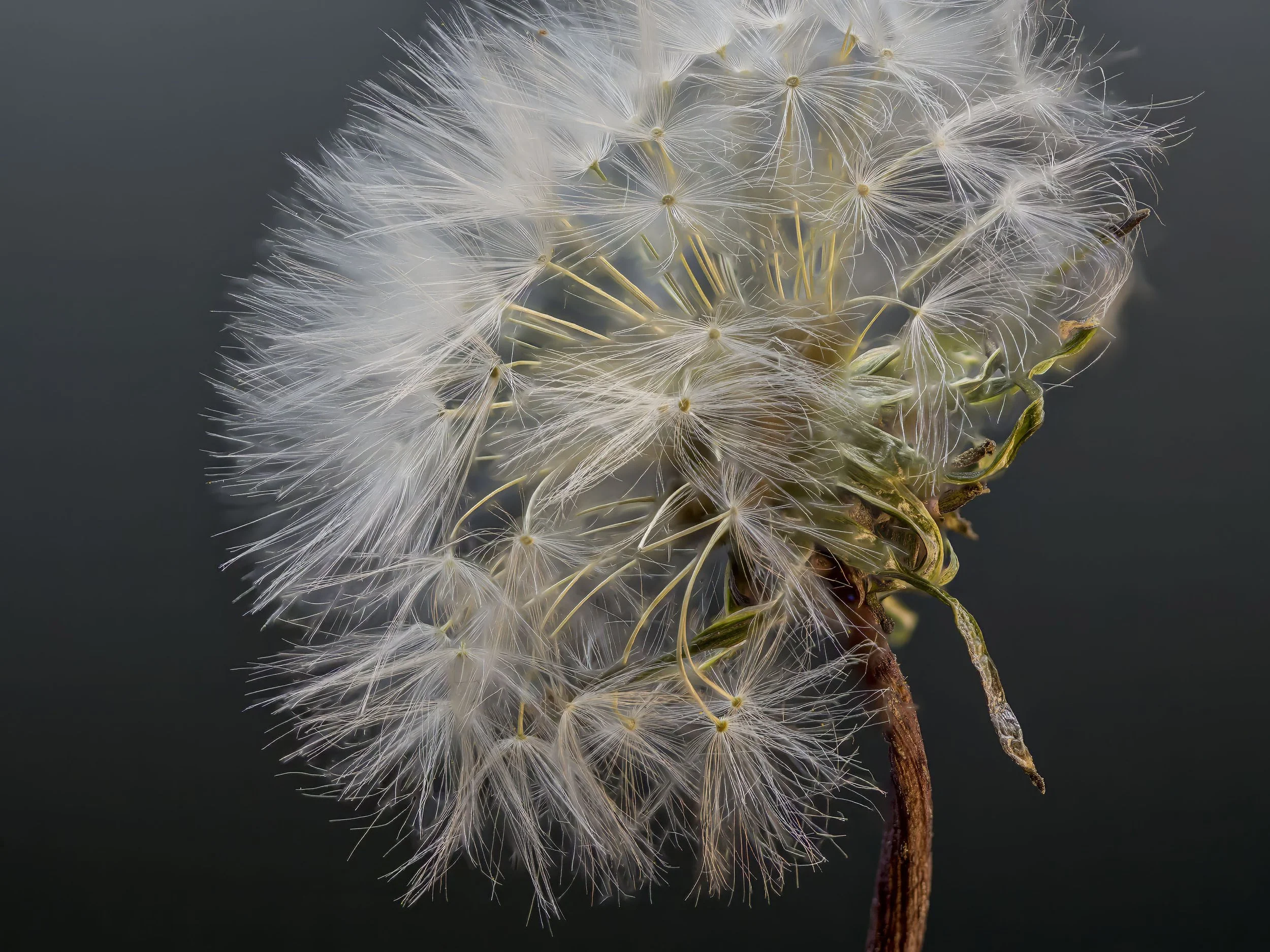 2025-12-26 14-38-55 (B,R8,S6) copy.jpg