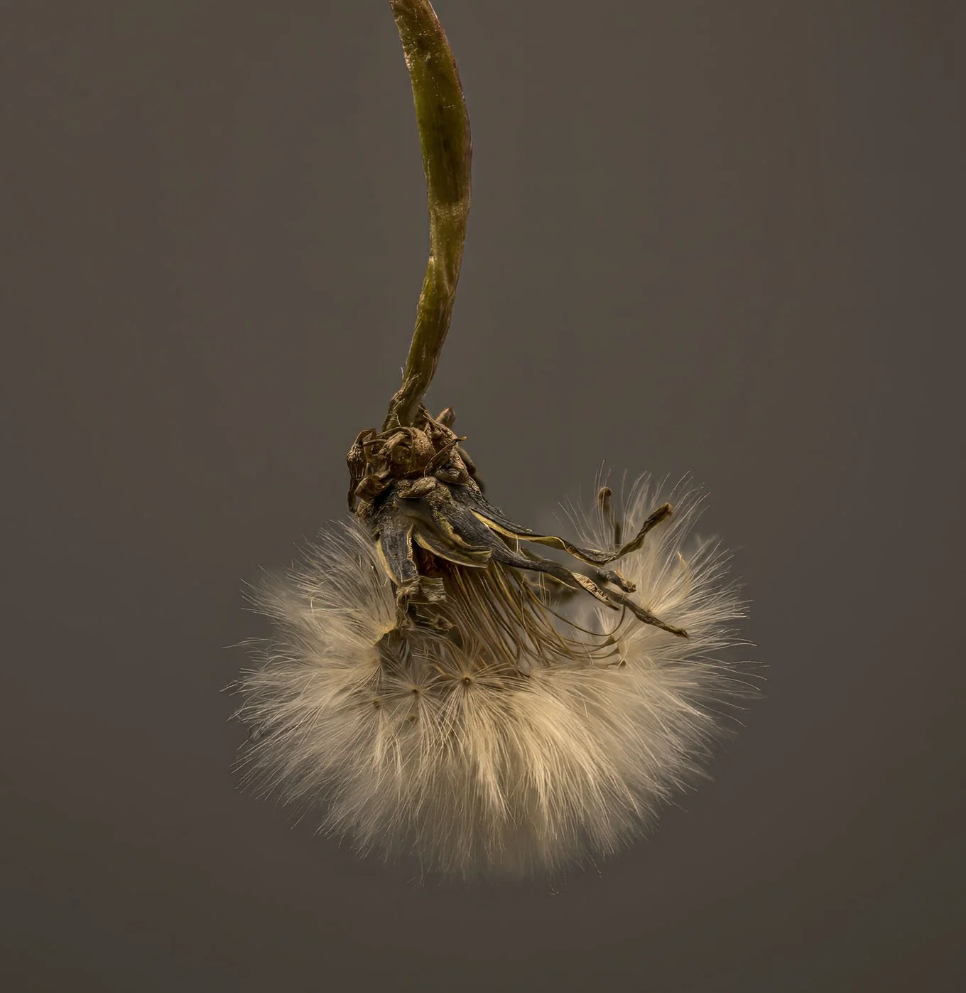 2025-12-31 14-24-47 (B,R8,S4) copy 2.jpg