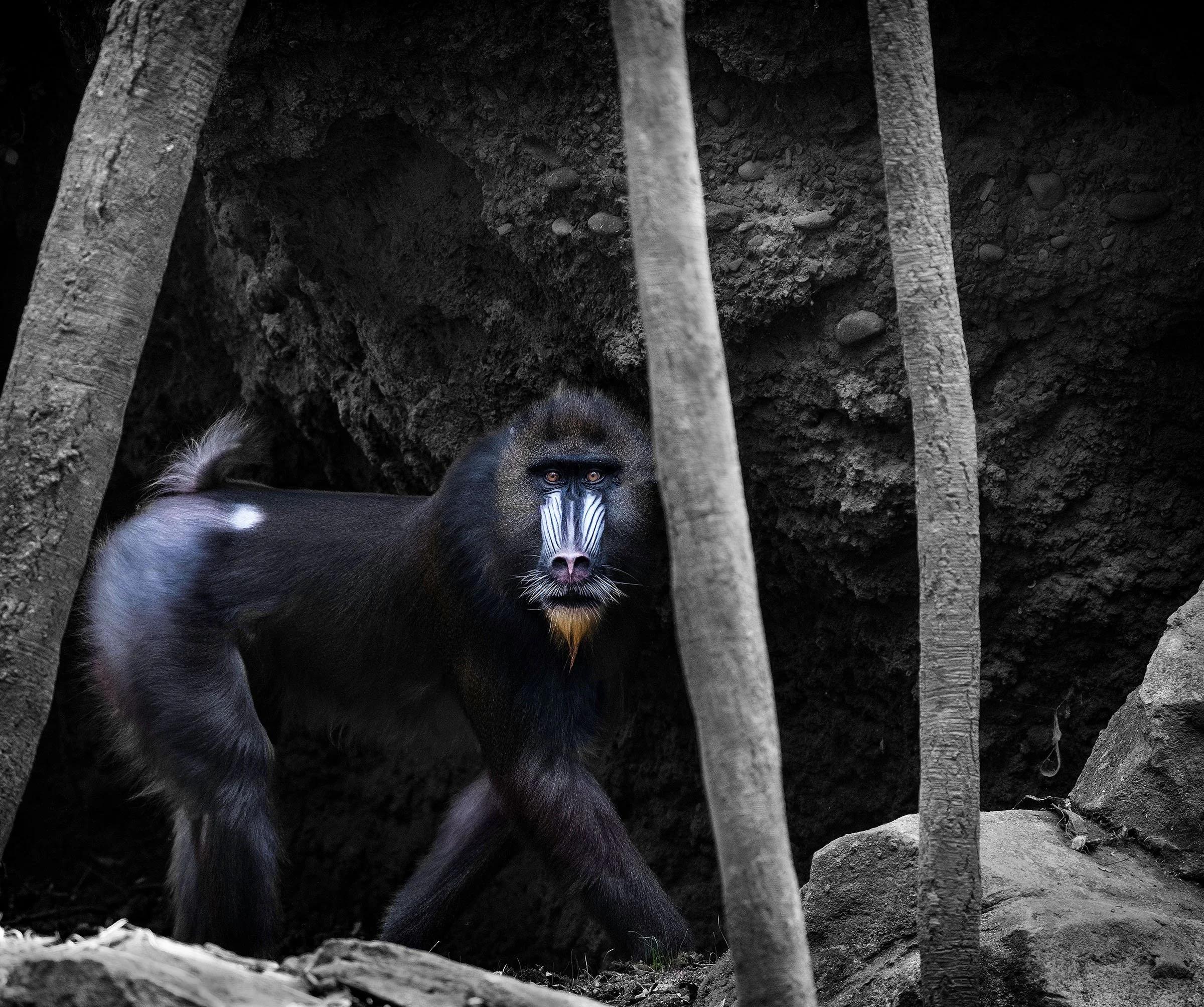 manb-w_DSF58121-2 copy 2.jpg