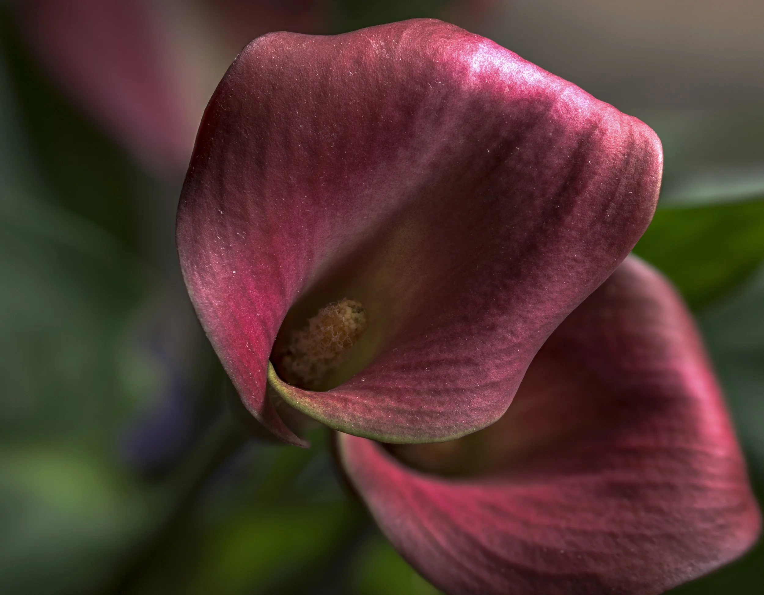 2026-04-02 20-58-50 (C,S4) copy.jpg