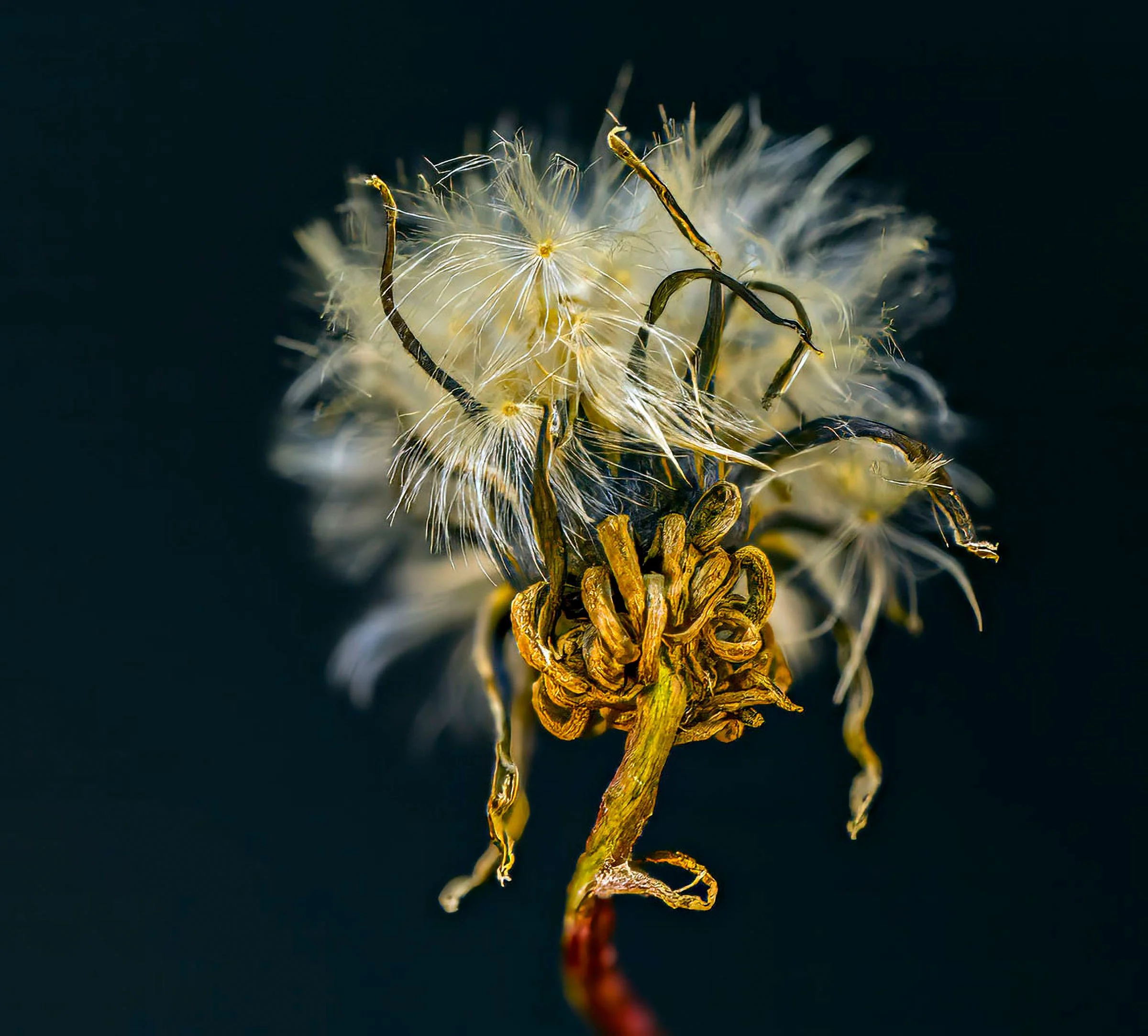 small2026-01-12 13-58-34 -C-S4- copy 2.jpg