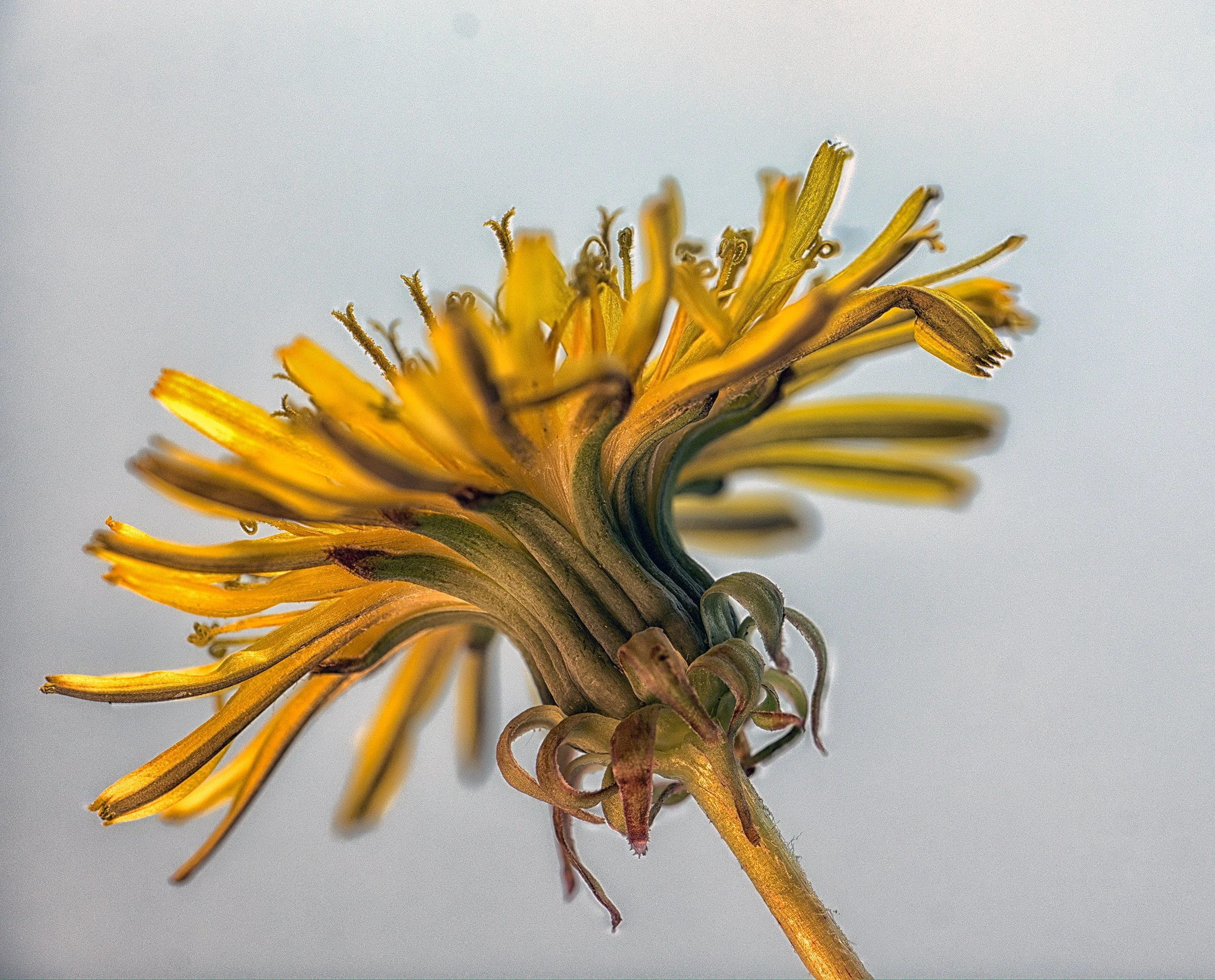 2025-09-15 16-09-00 -B-R8-S4- copy.jpg