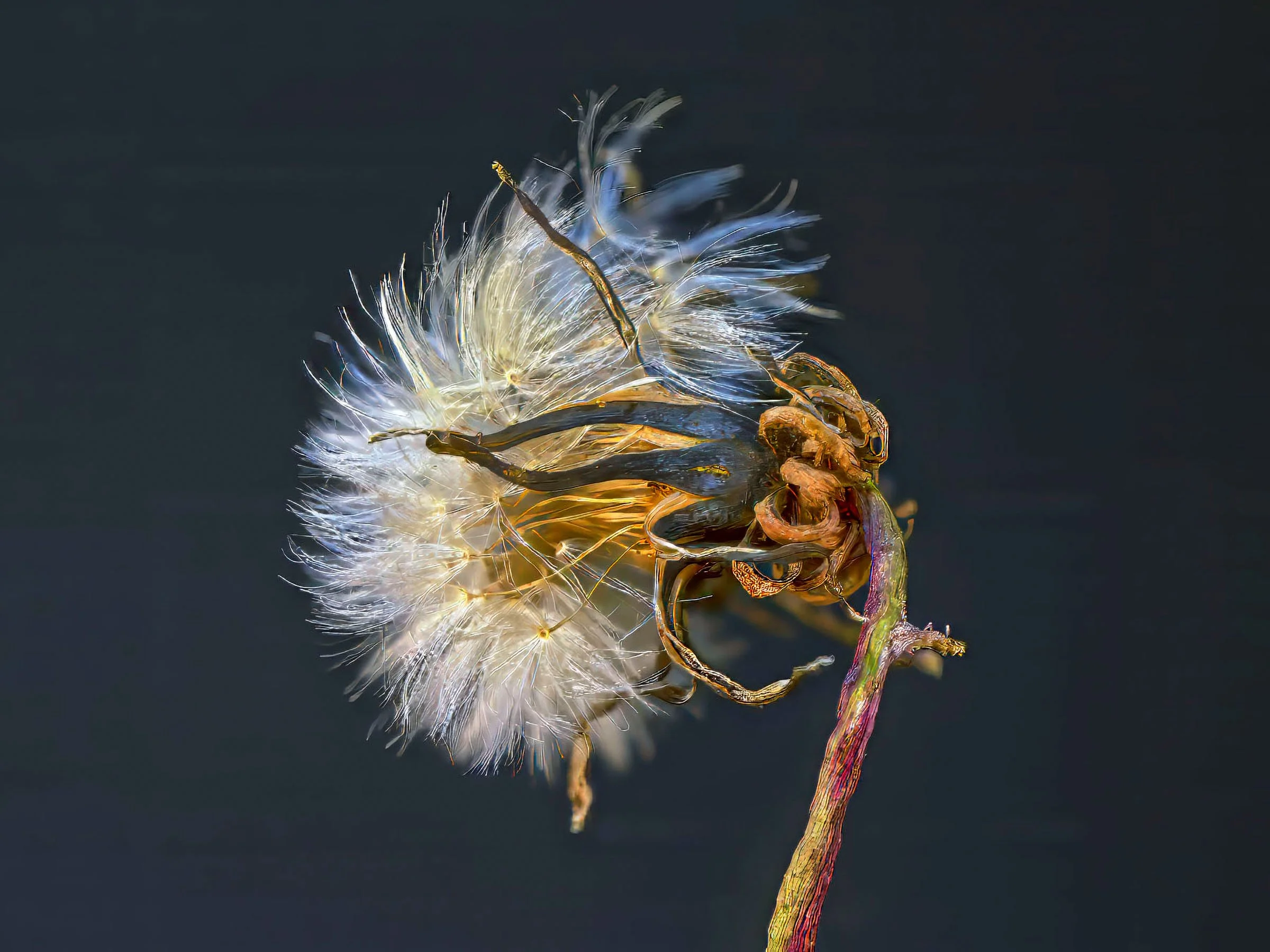 da19b2026-01-12 14-27-37 -C-S4- copy.jpg