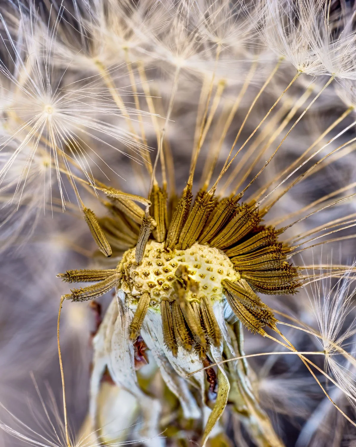 2026-01-18 23-38-23 -C-S8-a copy.jpg