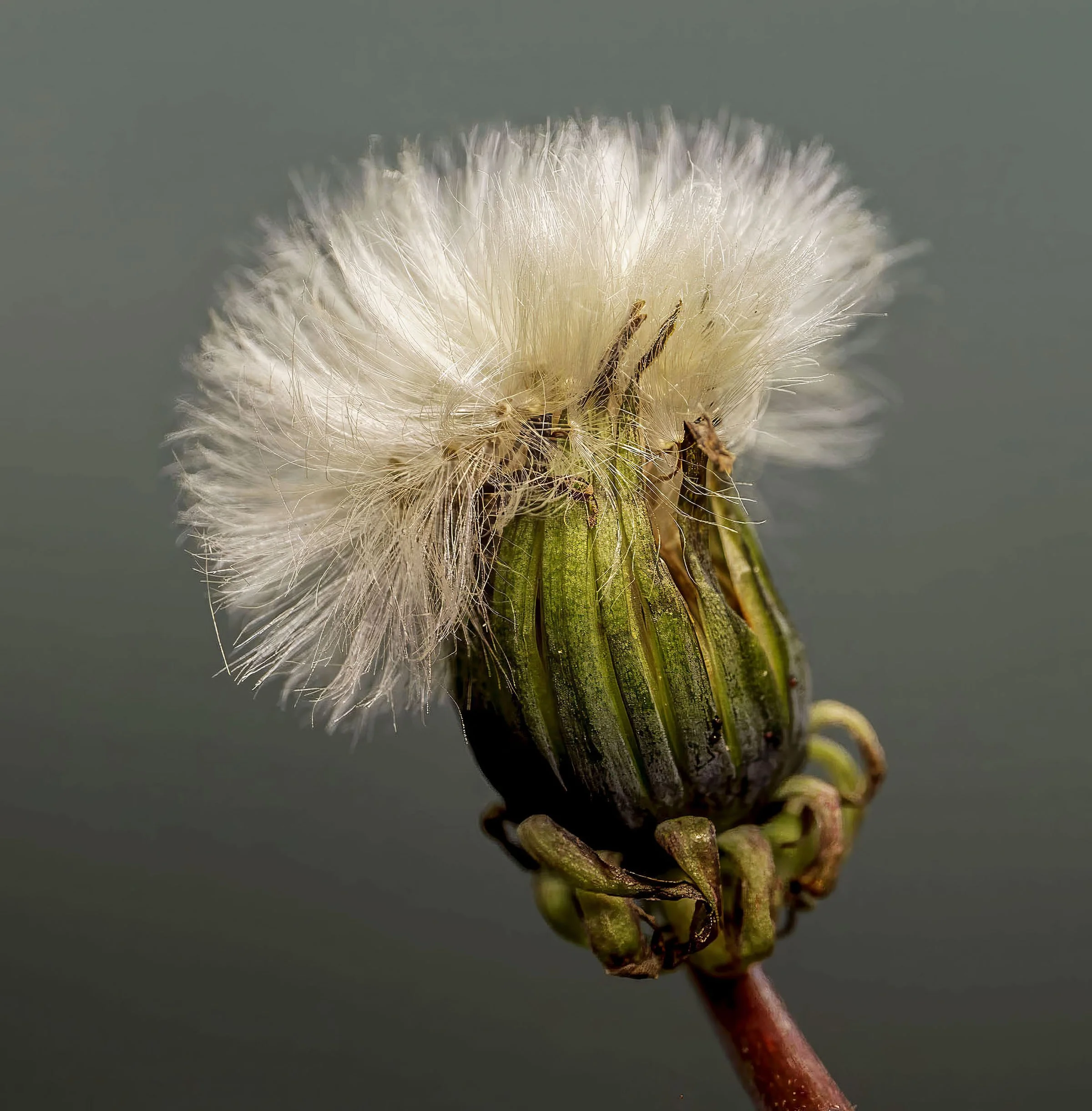 web1224fjDSCF8591 copy 3.jpg