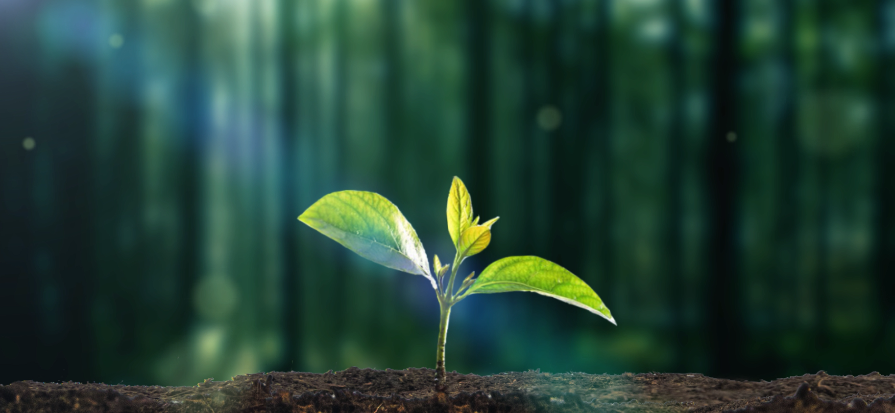 Community 75 Grow with Us.png