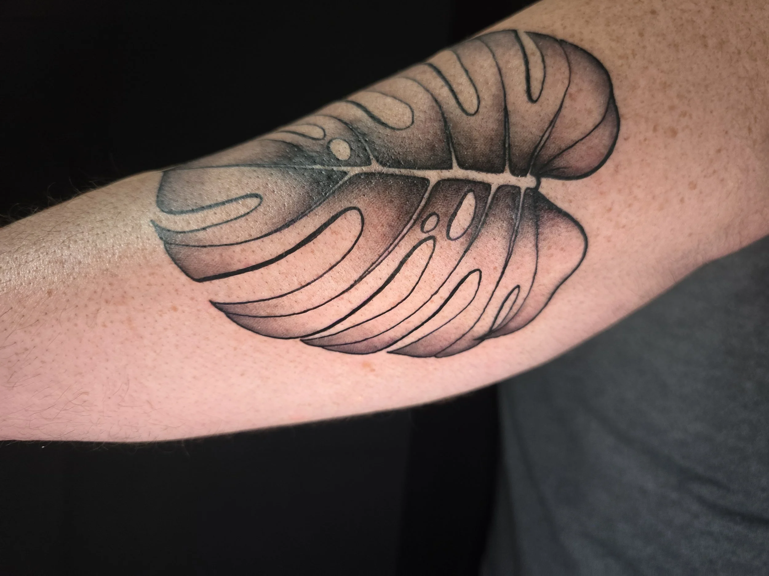 20260416_183640.jpg