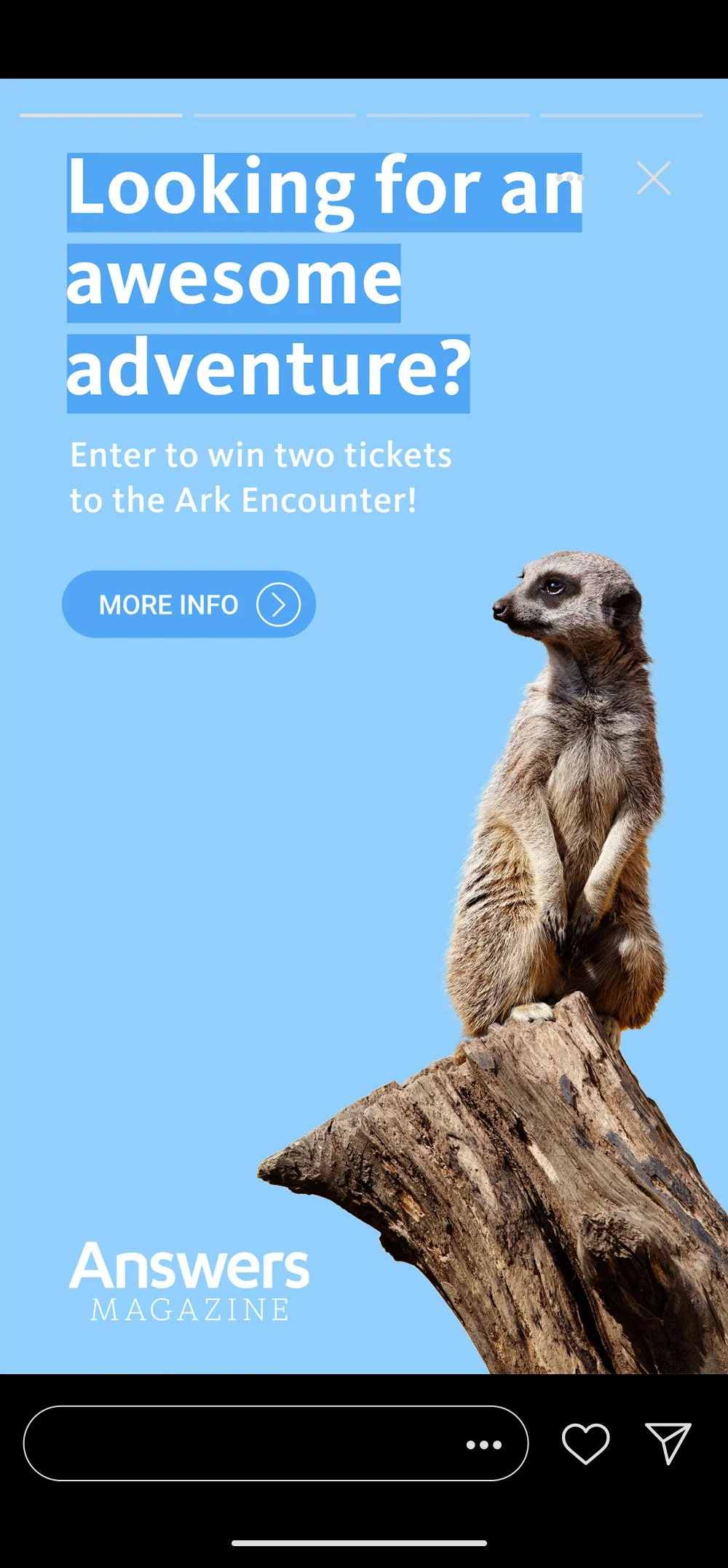 Meerkat-InstaStoryMockup.jpg
