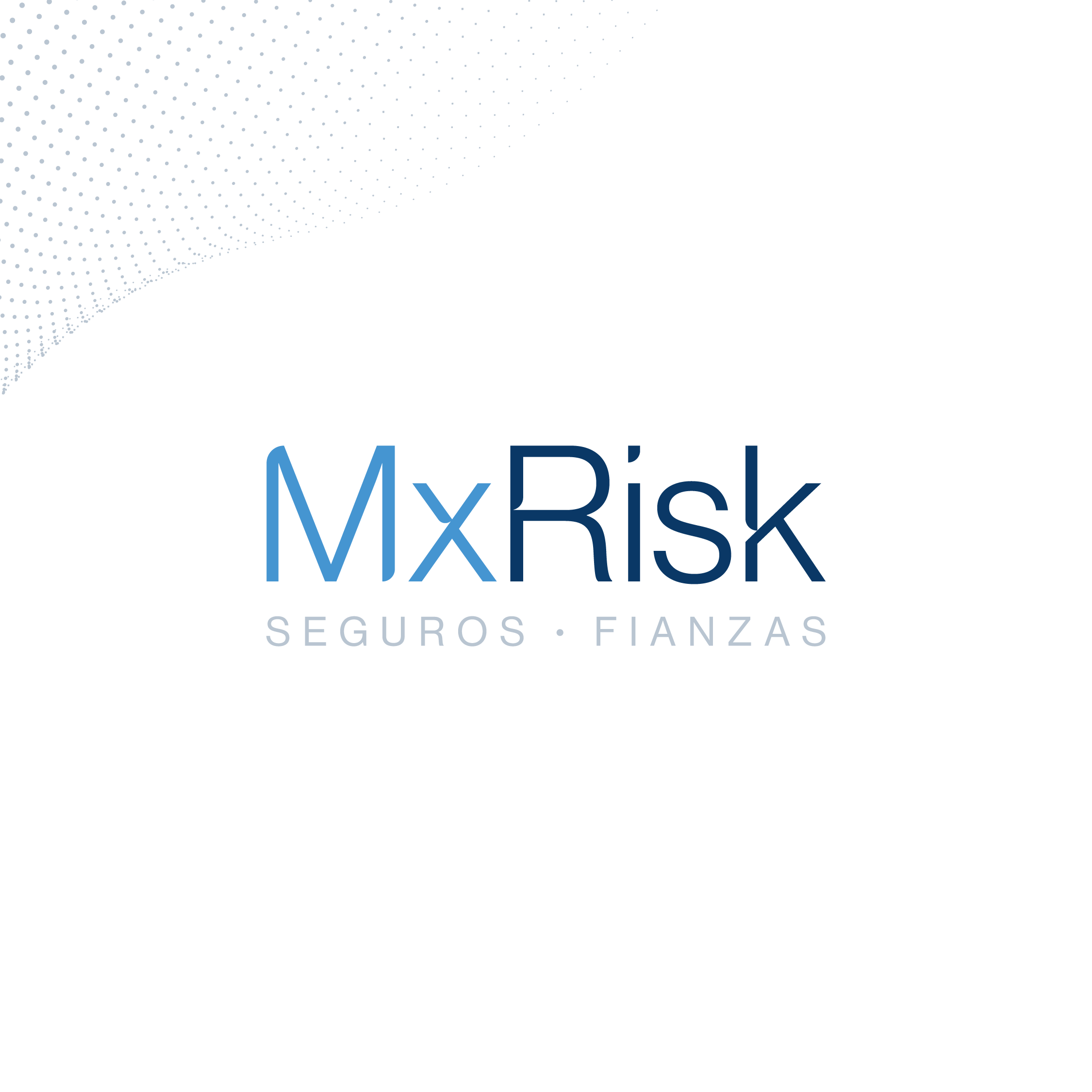 Branding Portafolio_MxRisk_02.png