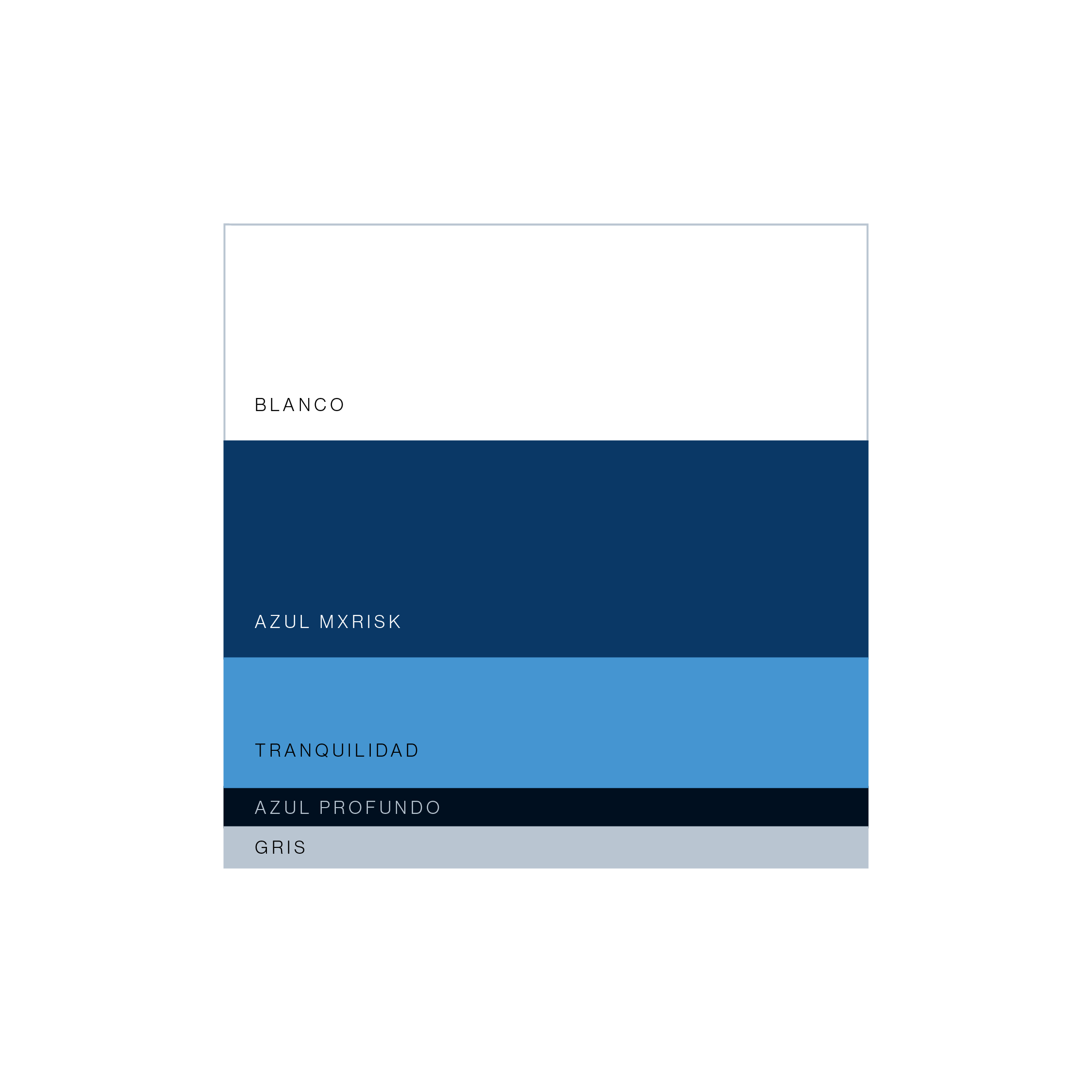 Branding Portafolio_MxRisk_04.png