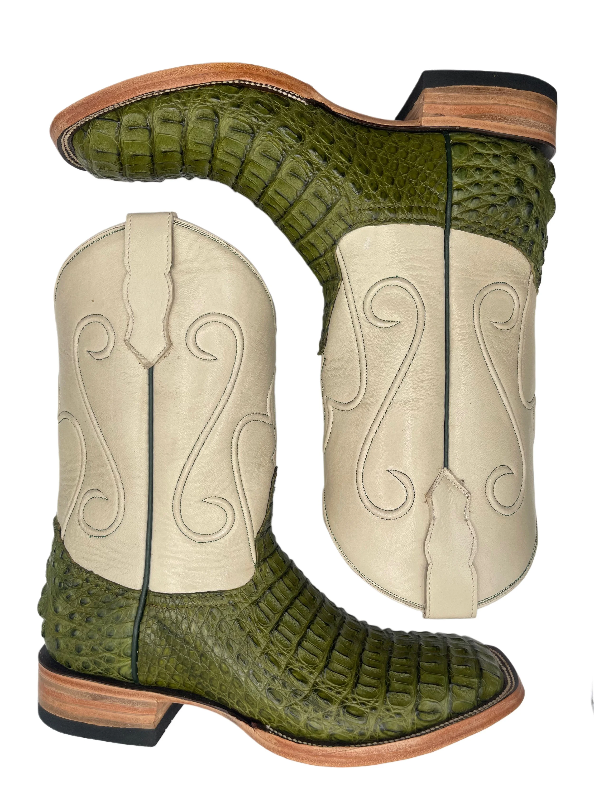 Caiman Crocodile Forest Green Hornback